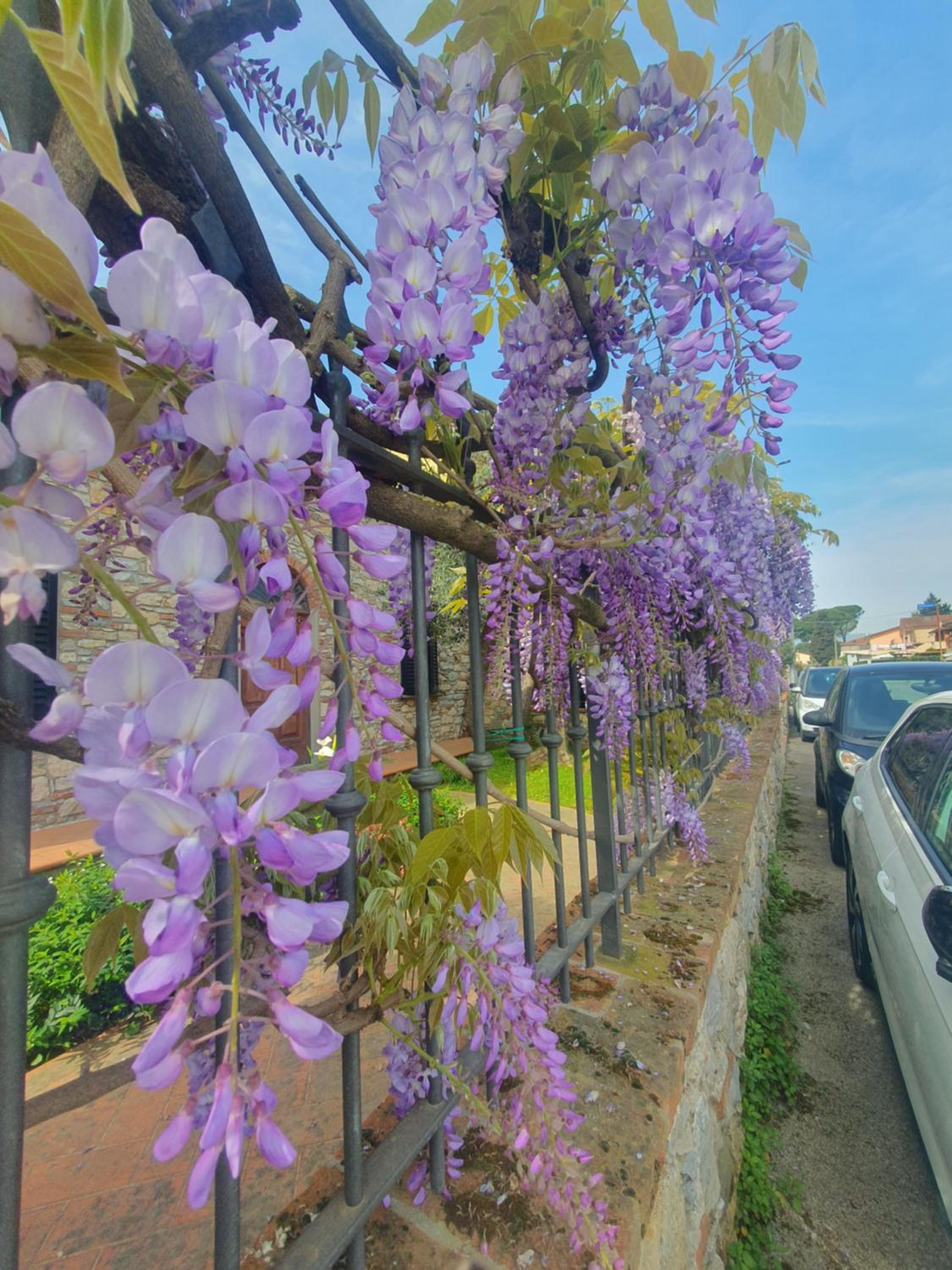 Pietra E Glicine B&B