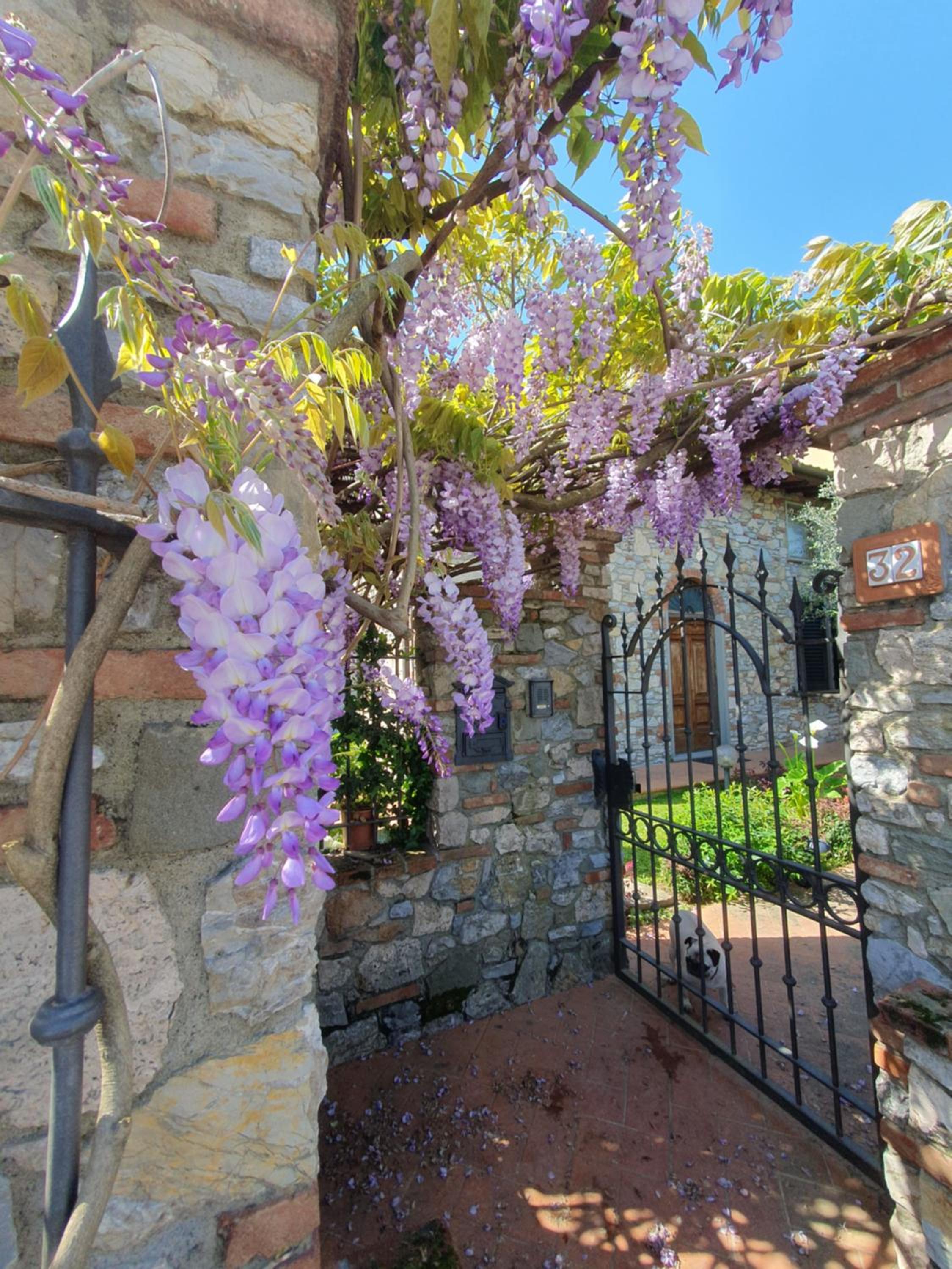Pietra E Glicine B&B