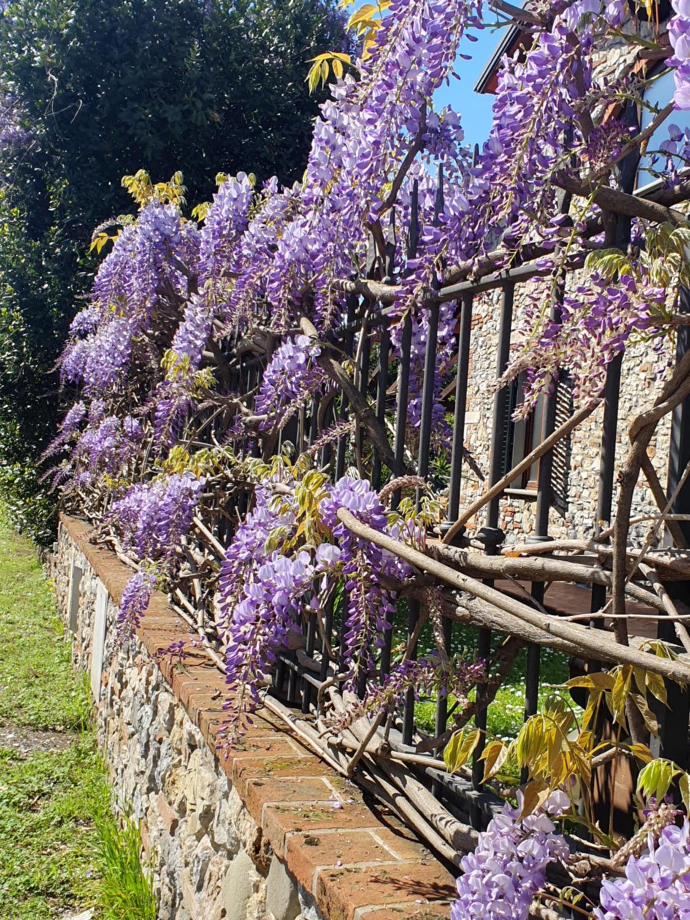 Pietra E Glicine B&B