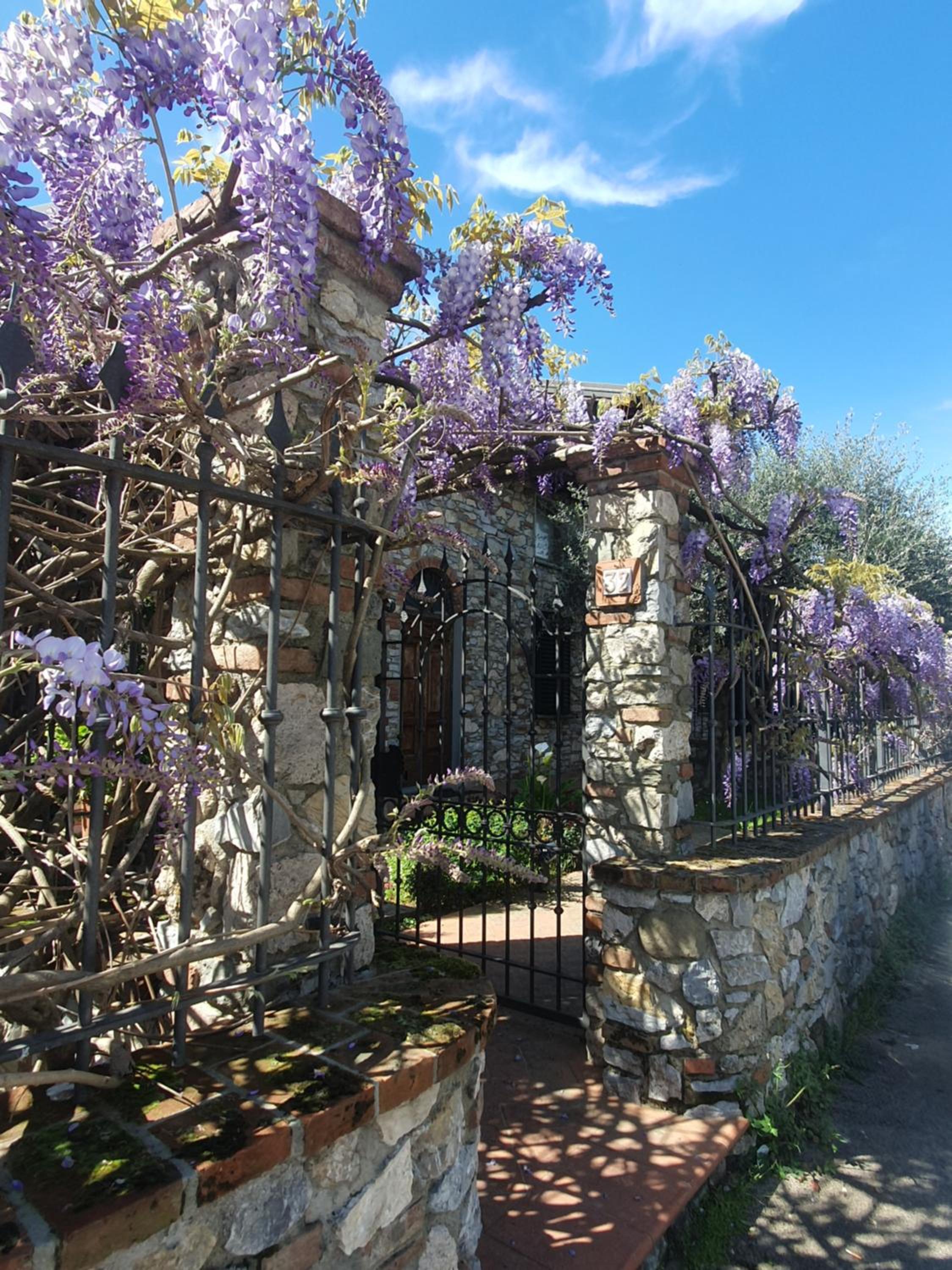 Pietra E Glicine B&B