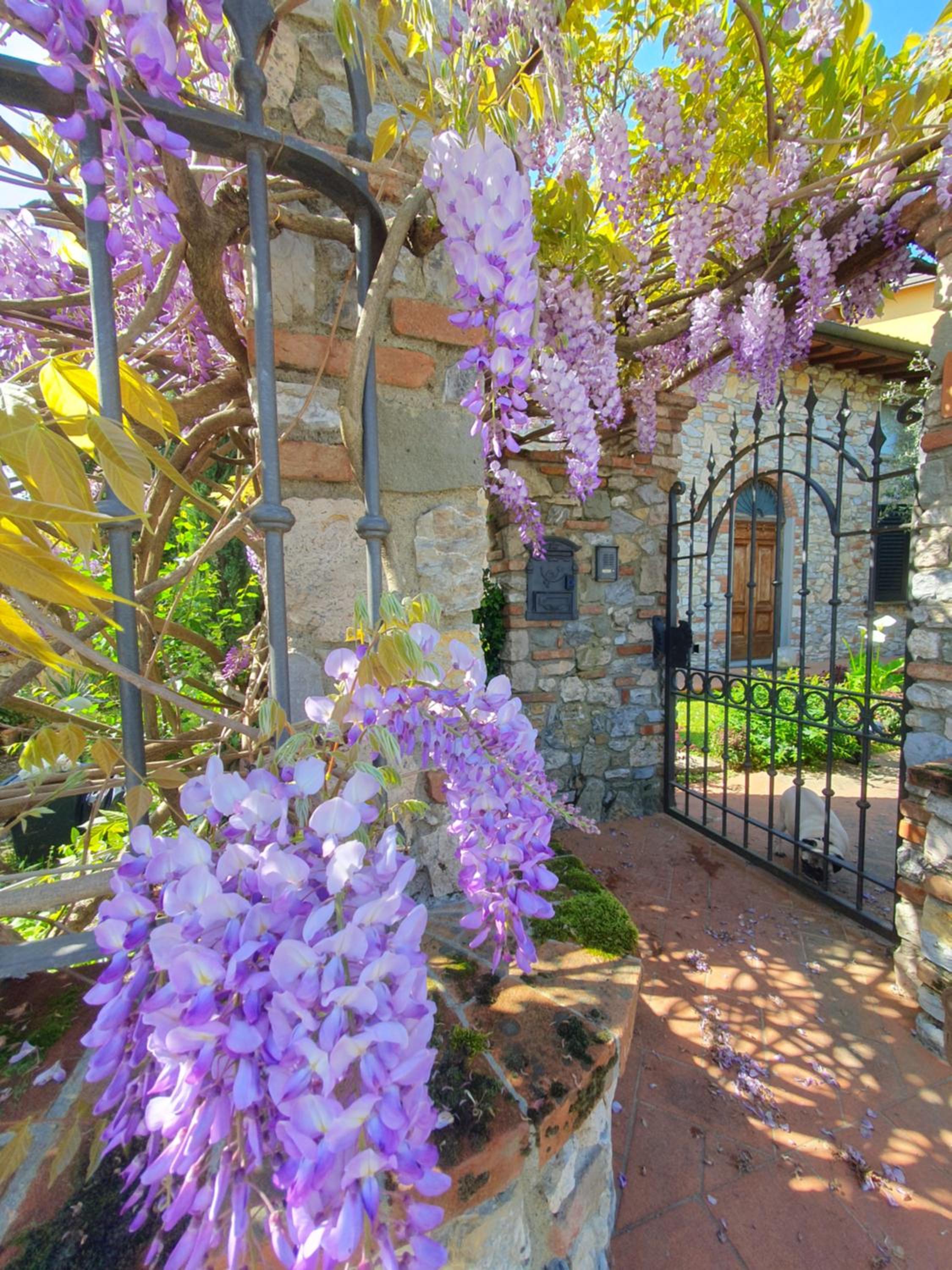 Pietra E Glicine B&B