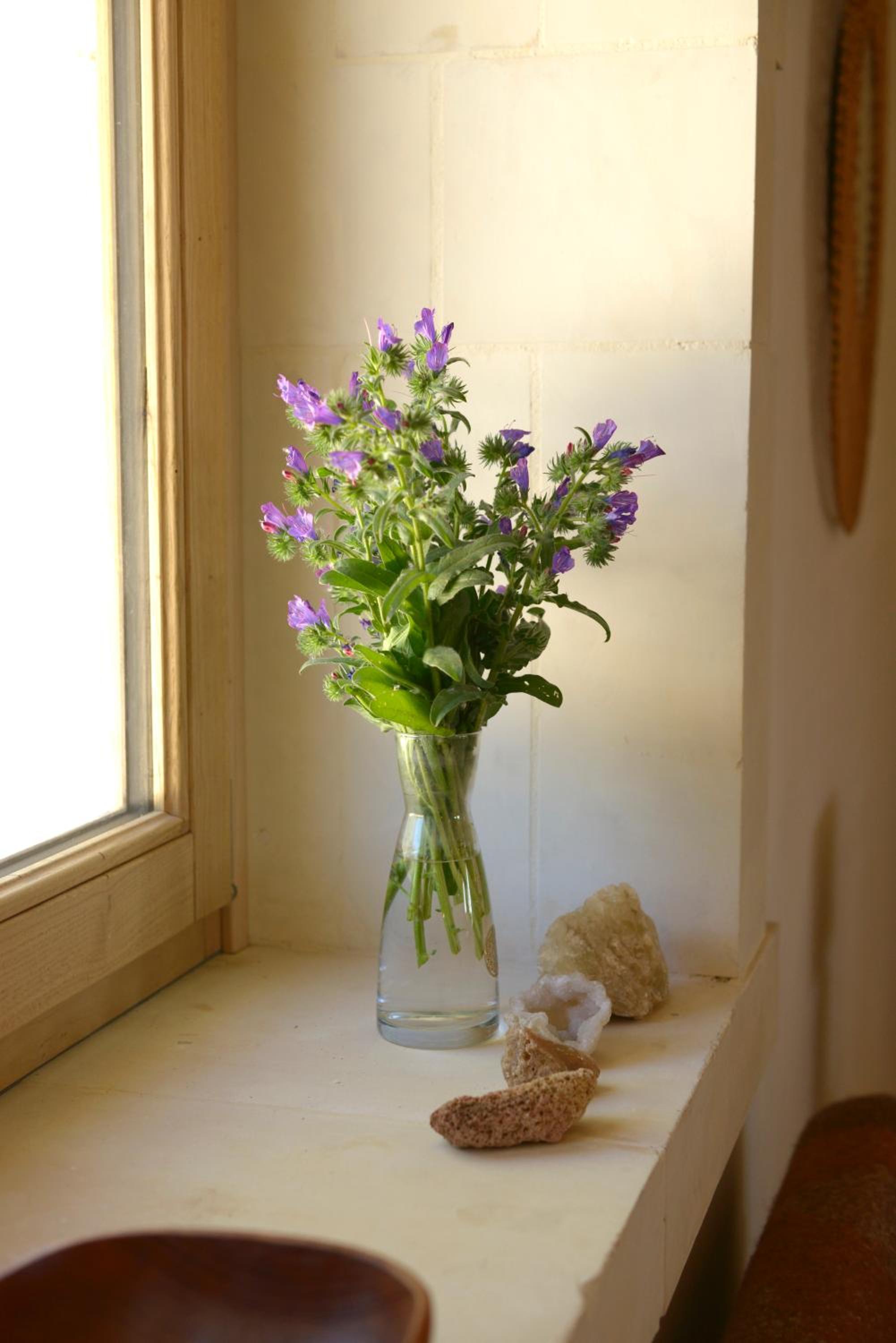 Photo 30