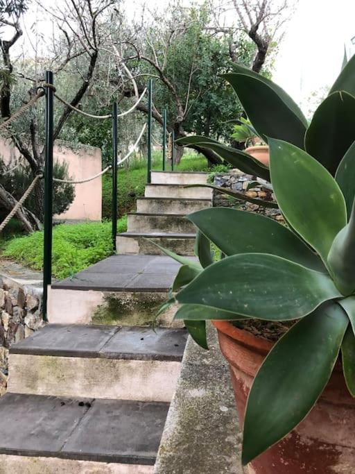 Appartamento per 2 persone con vista sulle Eolie Casa Spisidda "Lipari" view 2