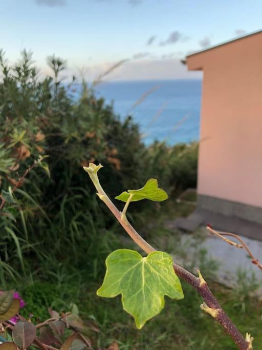 Appartamento per 2 persone con vista sulle Eolie Casa Spisidda "Lipari" view 3