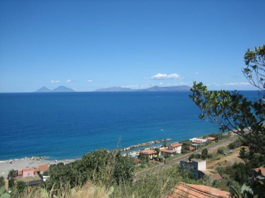 Photo 40