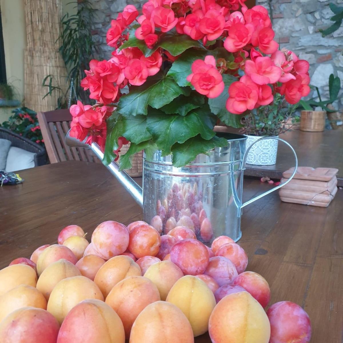 Pietra E Glicine B&B
