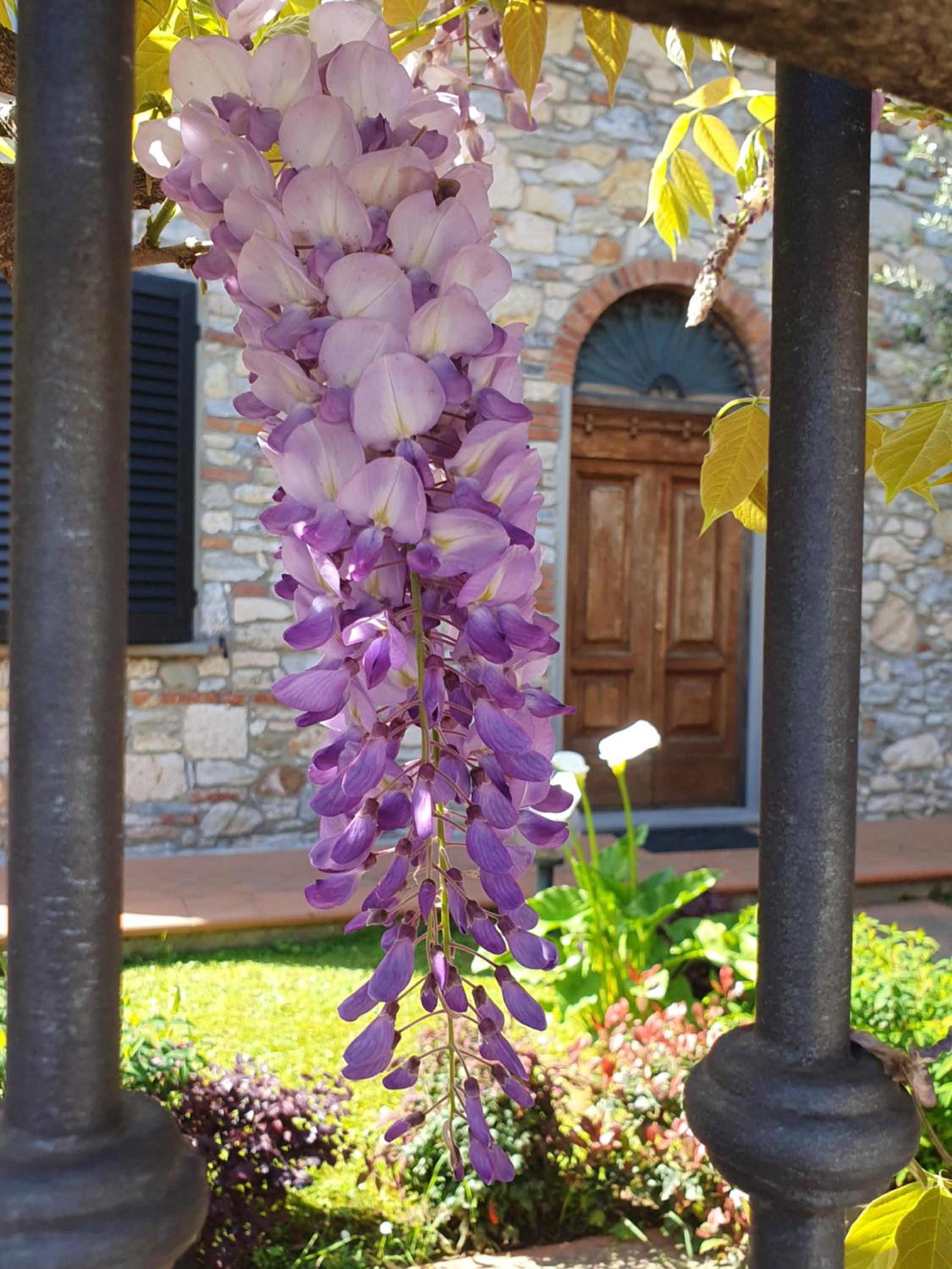 Pietra E Glicine B&B