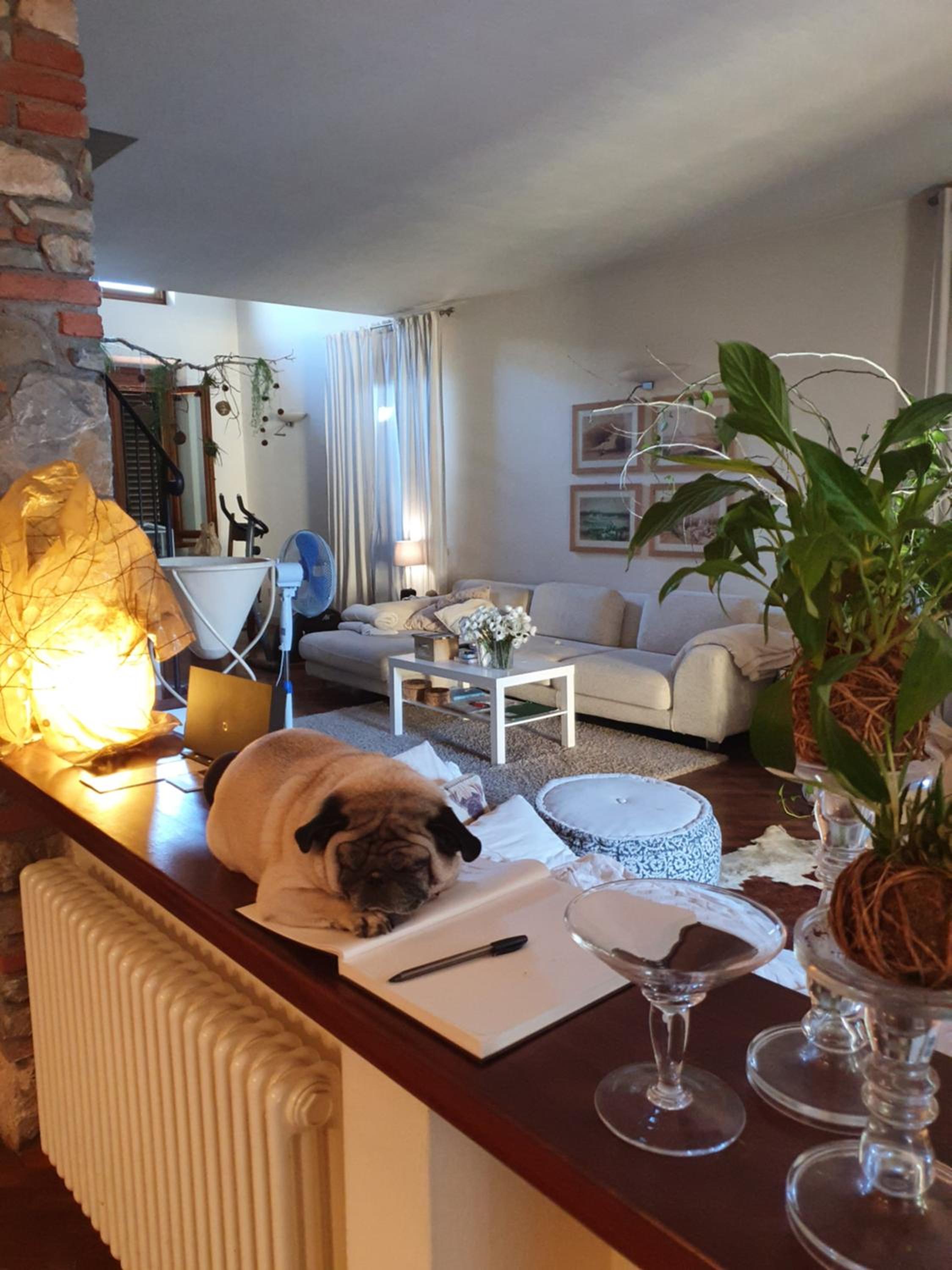 Pietra E Glicine B&B
