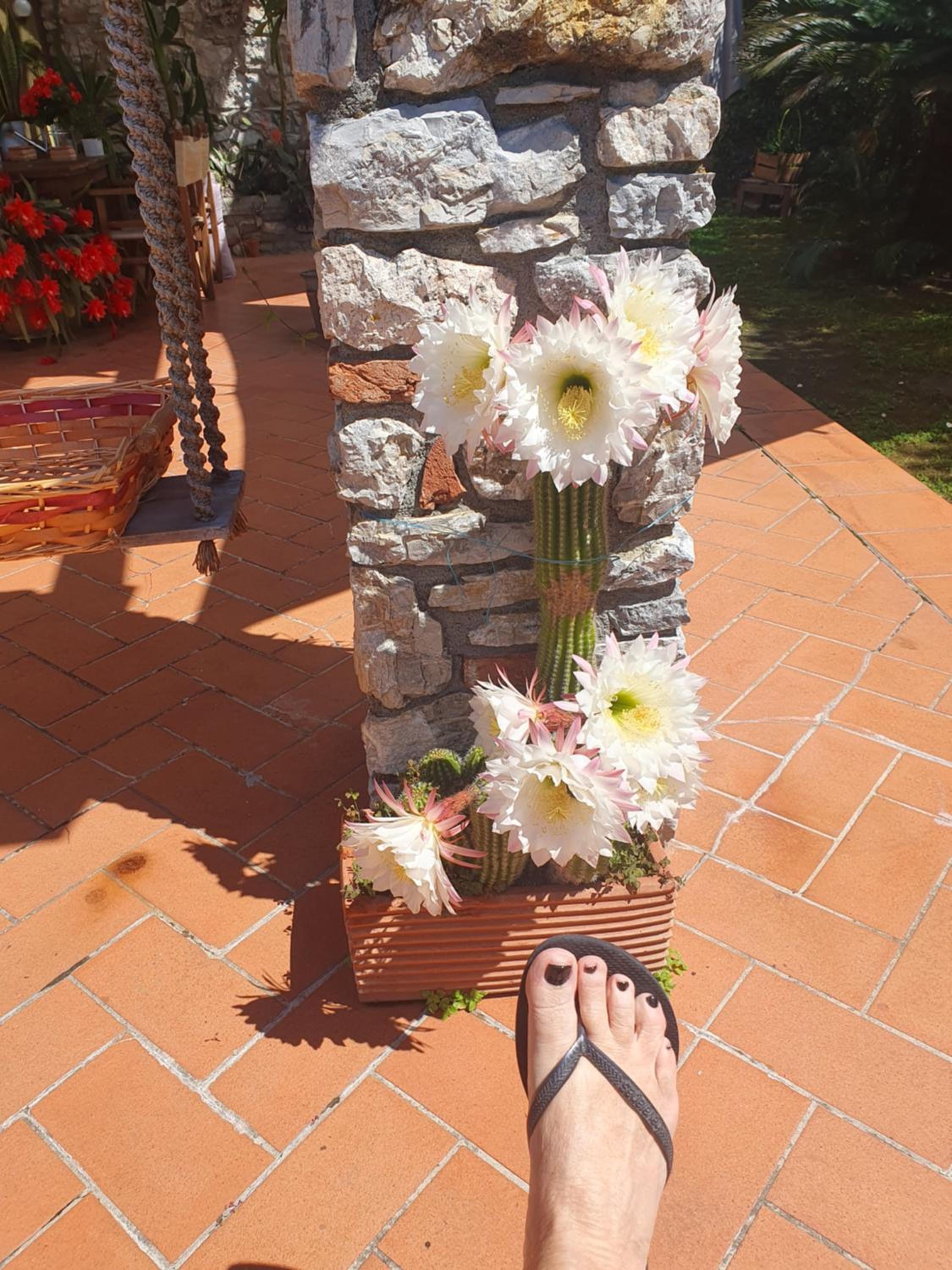 Pietra E Glicine B&B