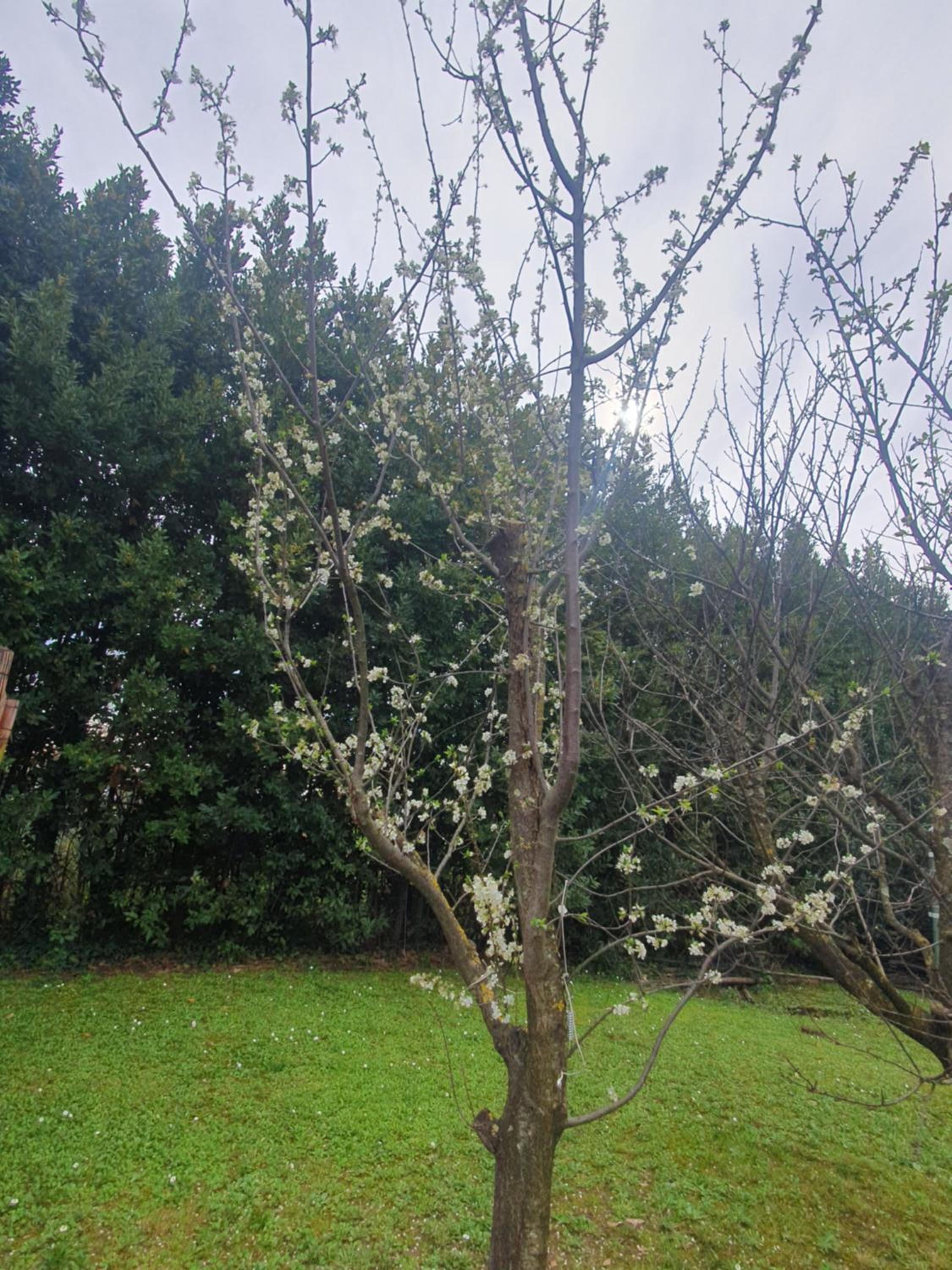 Pietra E Glicine B&B