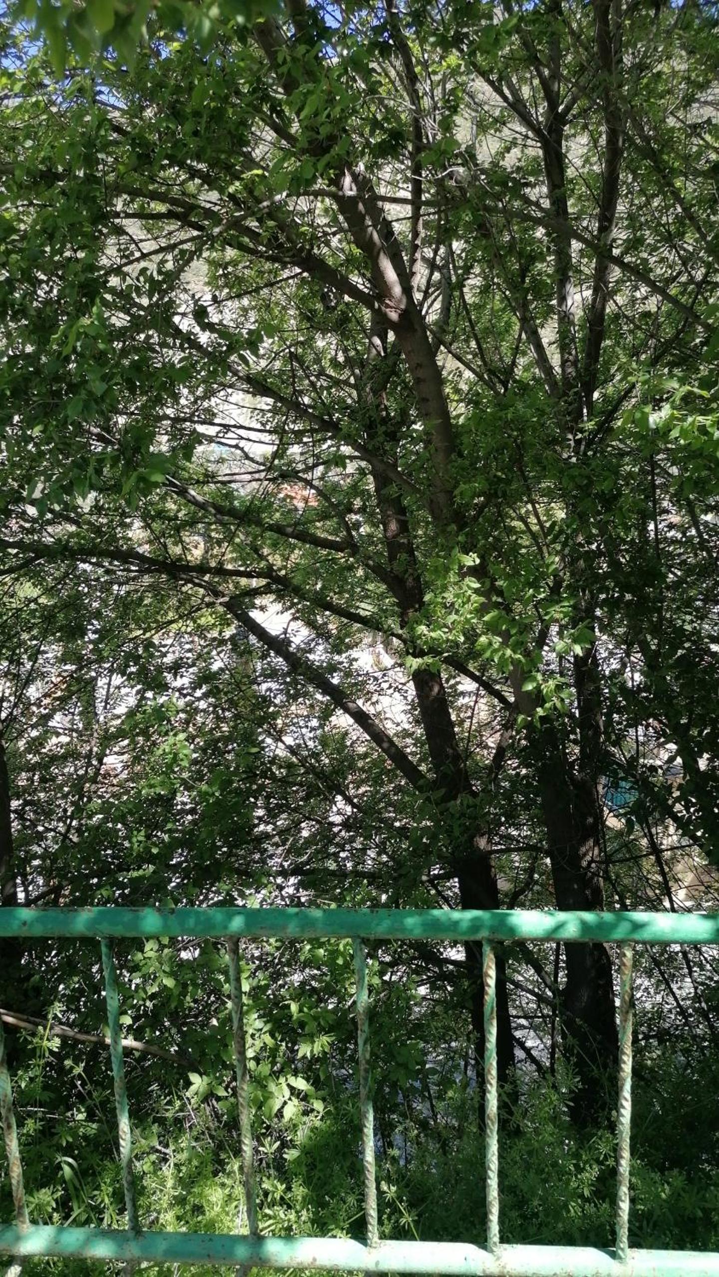 Photo 40