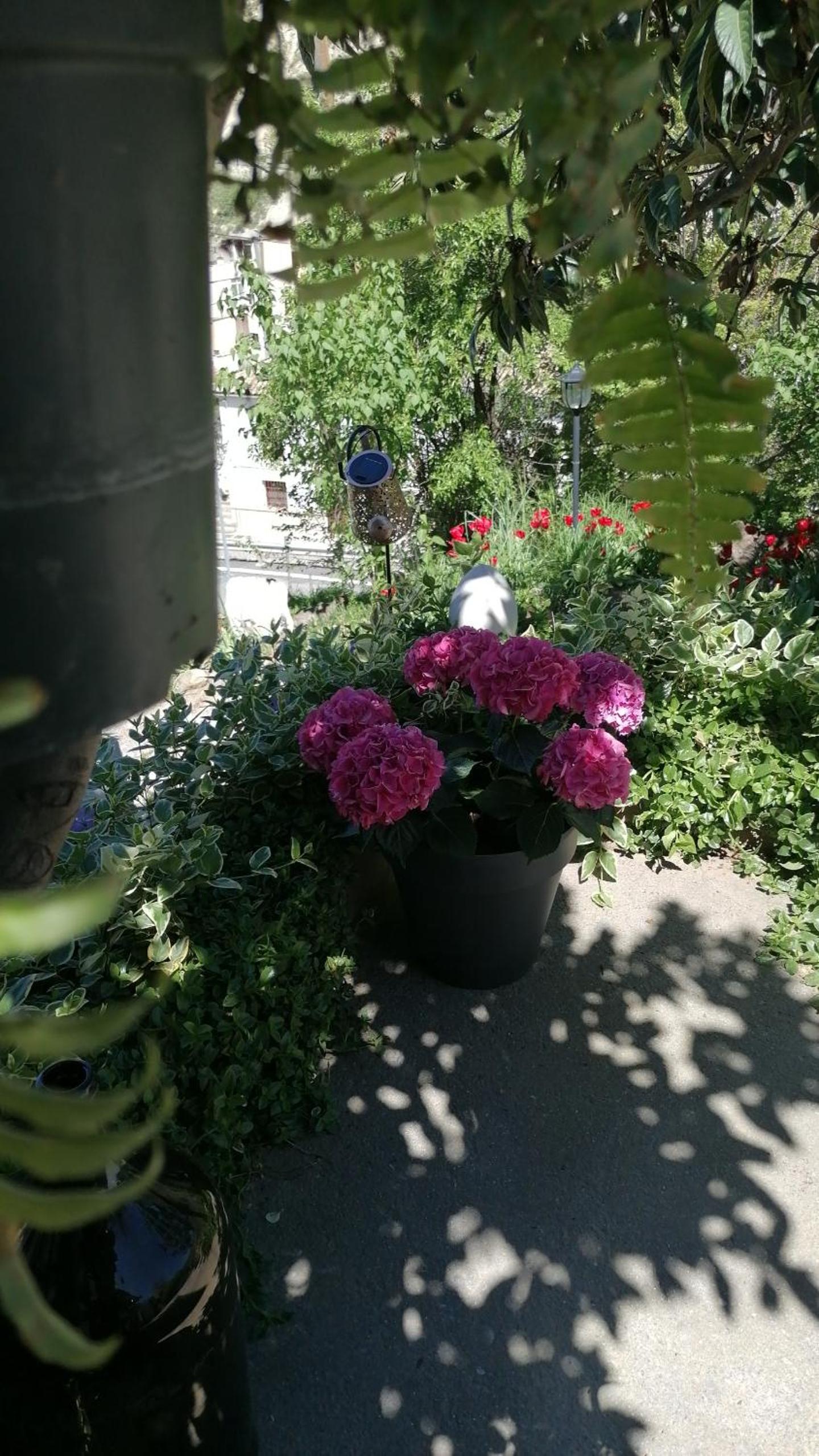 Photo 43
