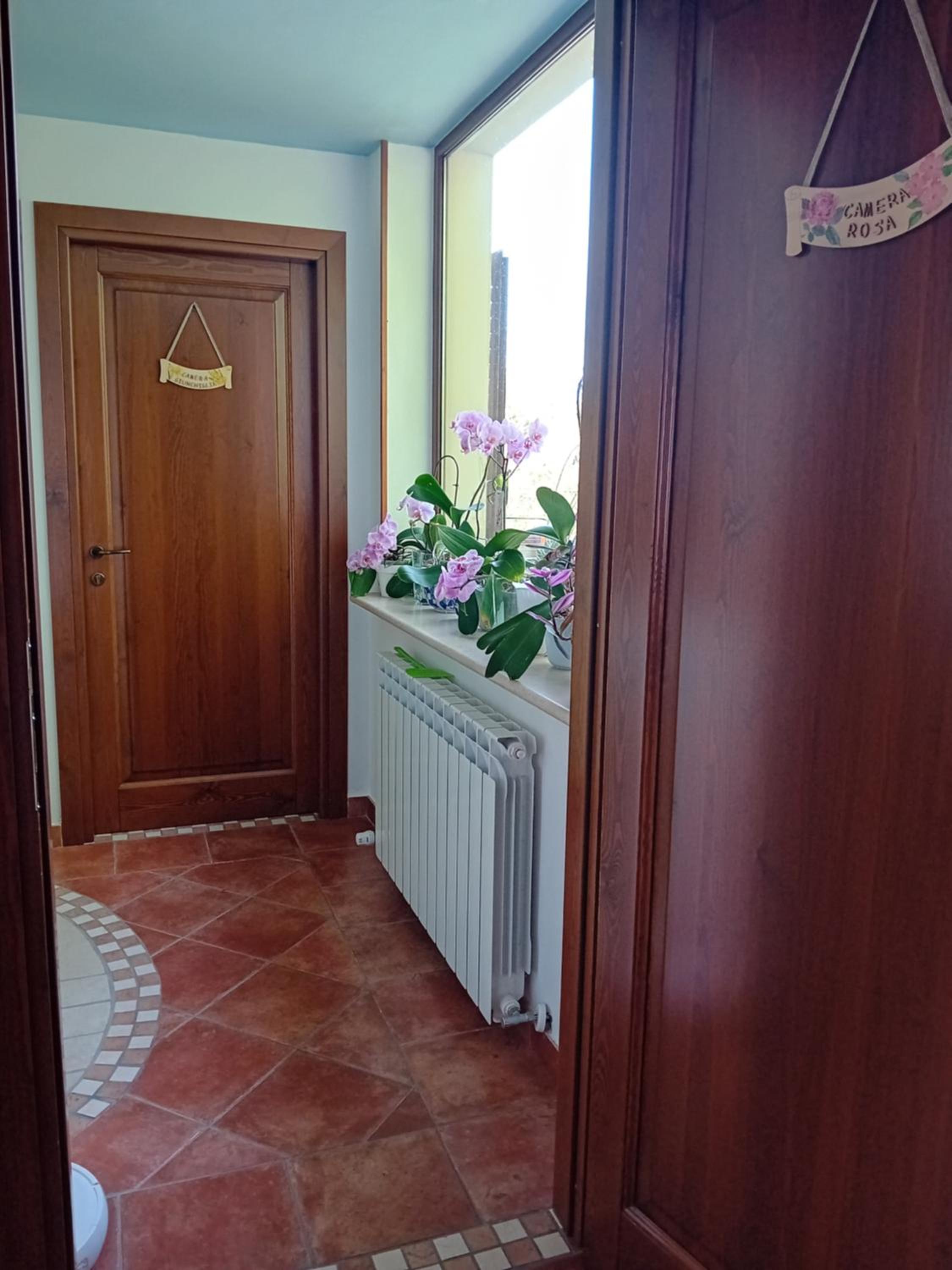 Photo 50