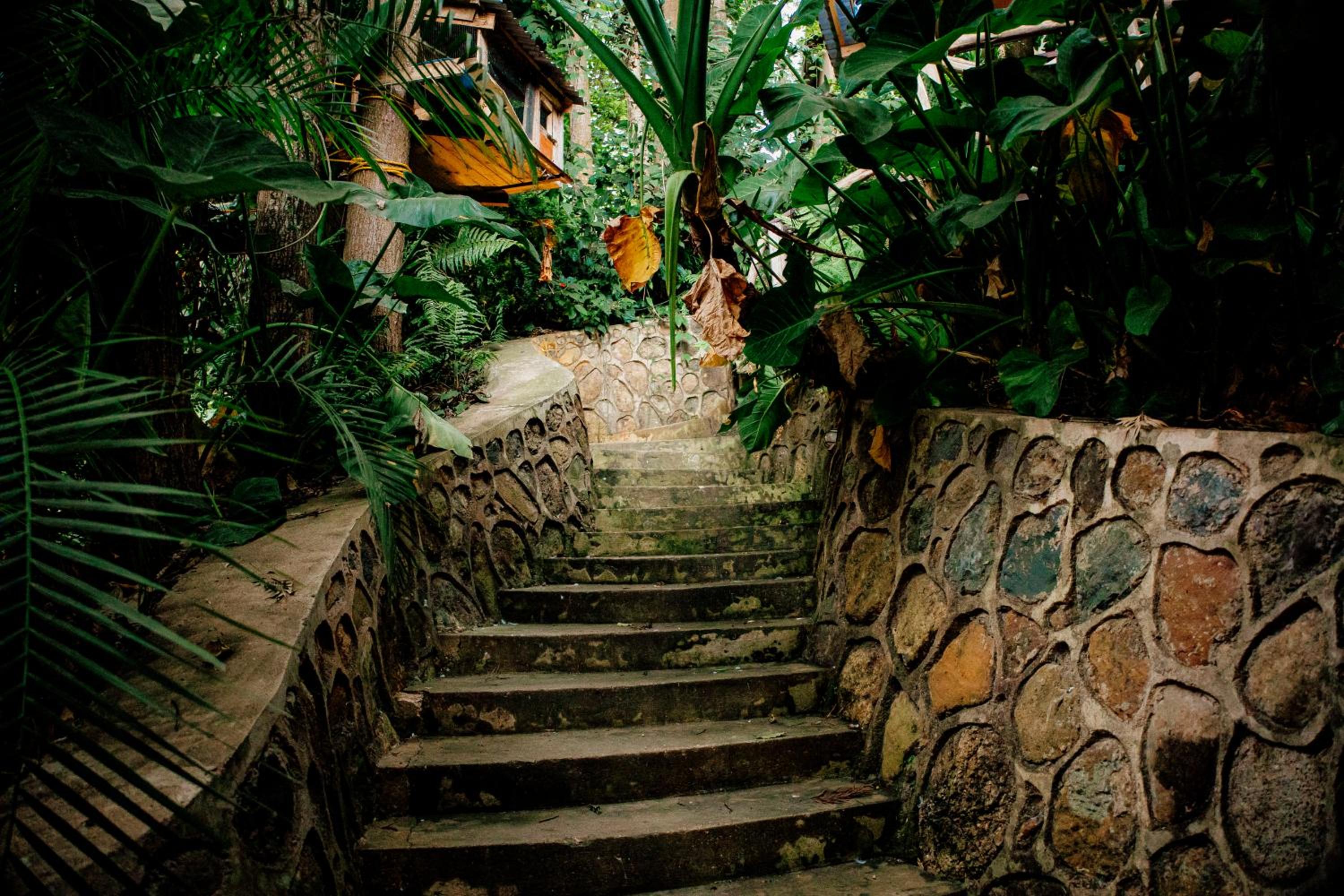 Photo 40
