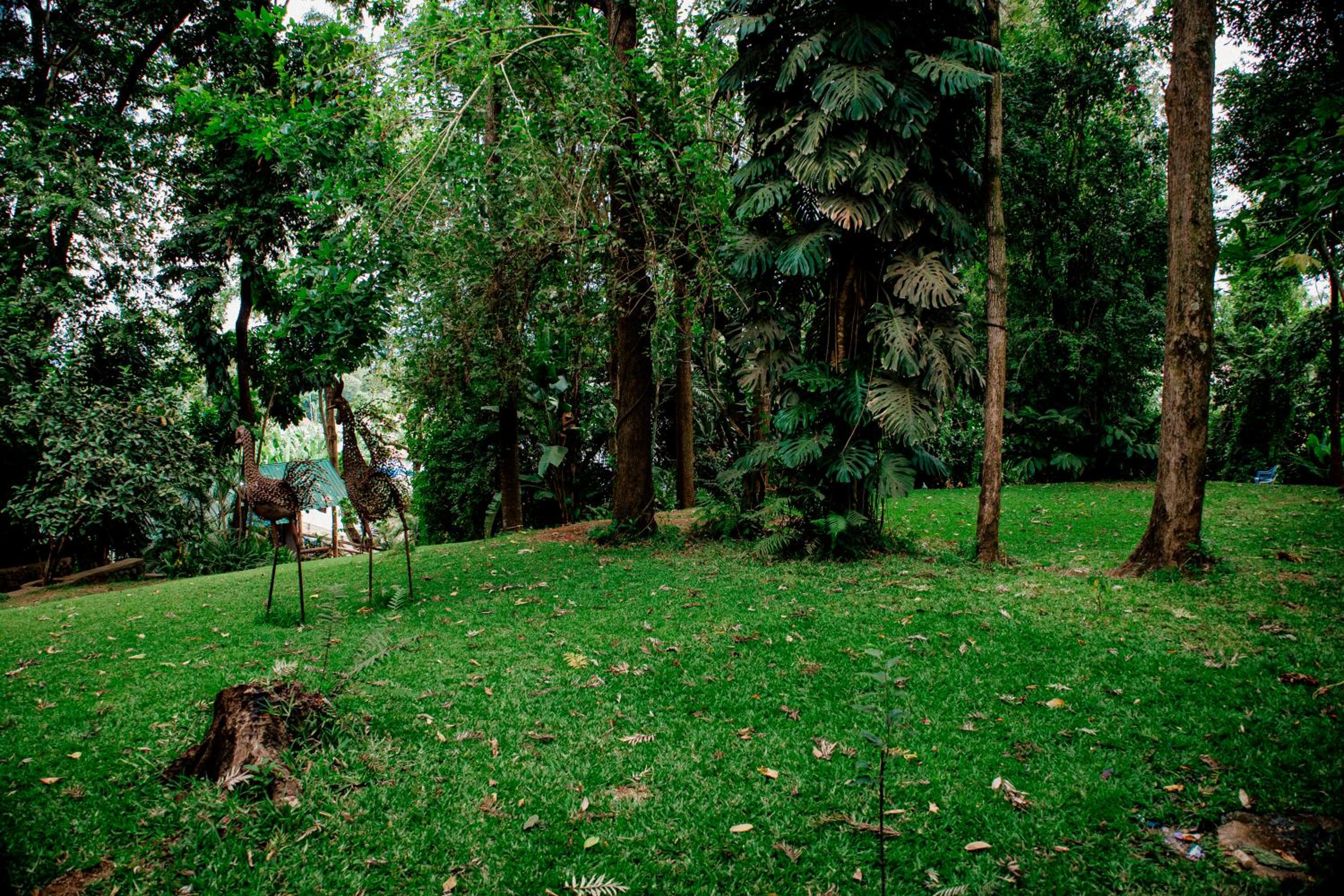 Photo 37