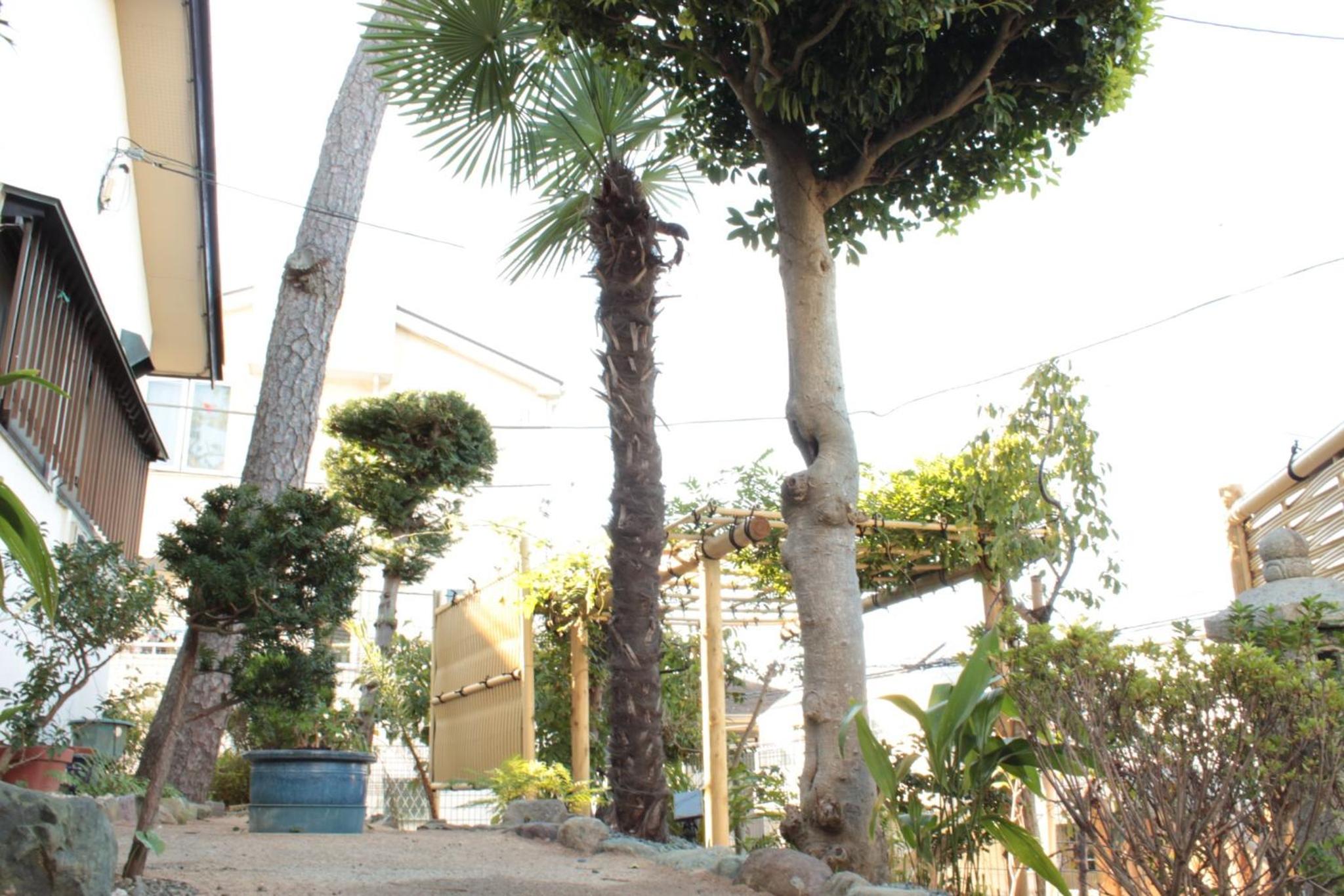 Rental villa Saya - Vacation STAY 85439v view 2