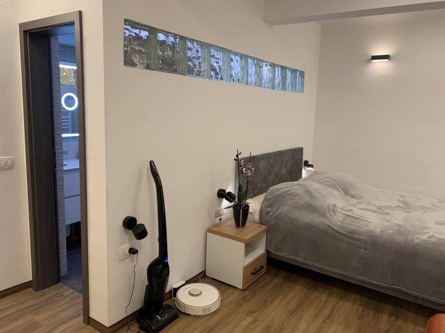 Art Apartment City Center Lj view 3