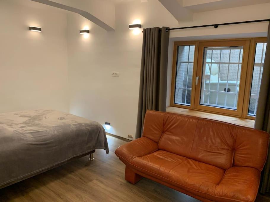 Art Apartment City Center Lj view 4