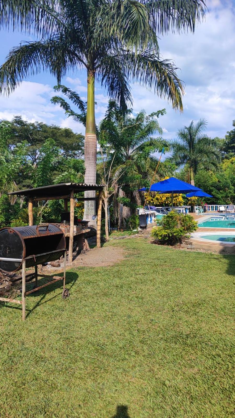Finca de la pintada