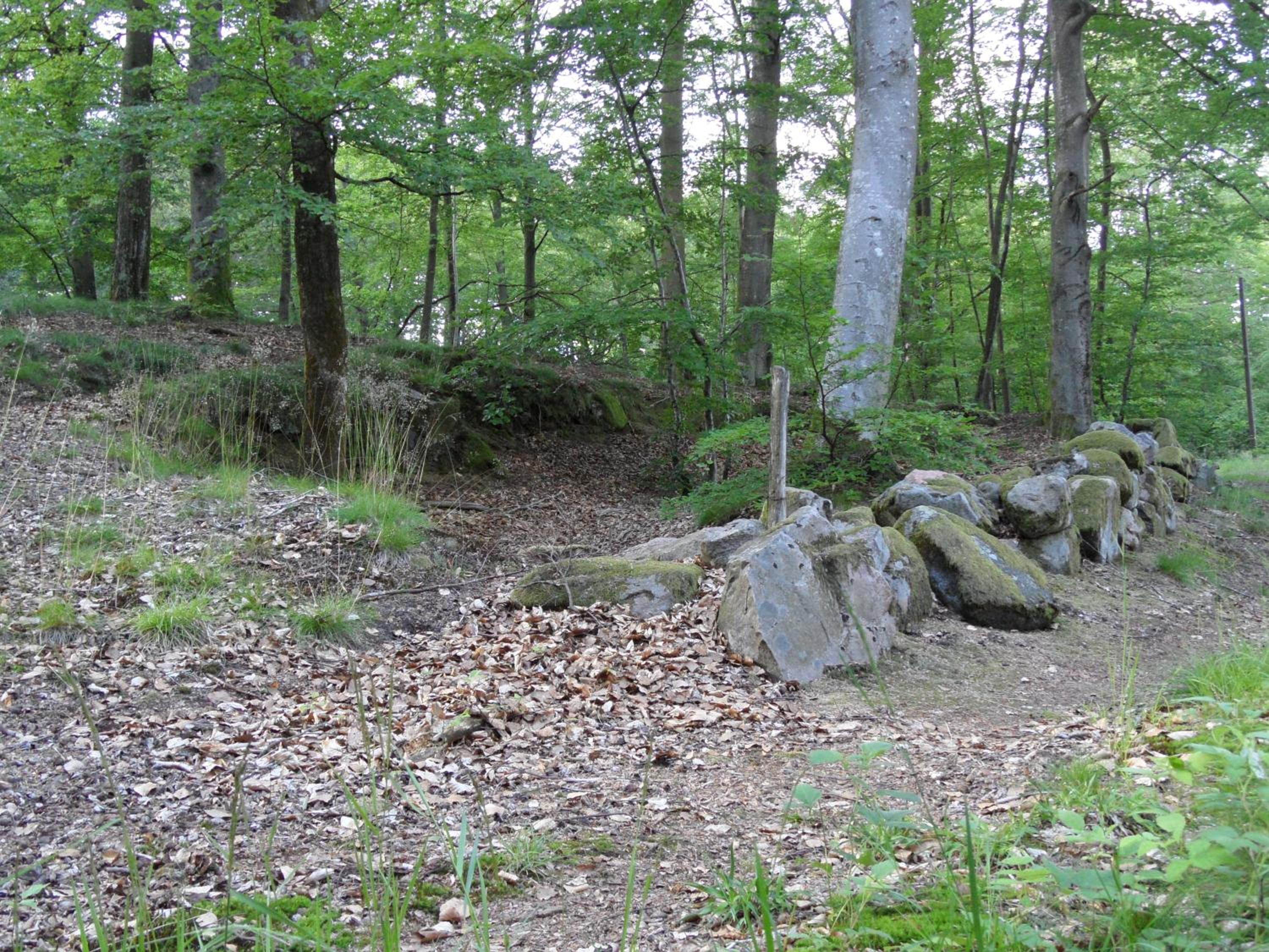 Photo 30