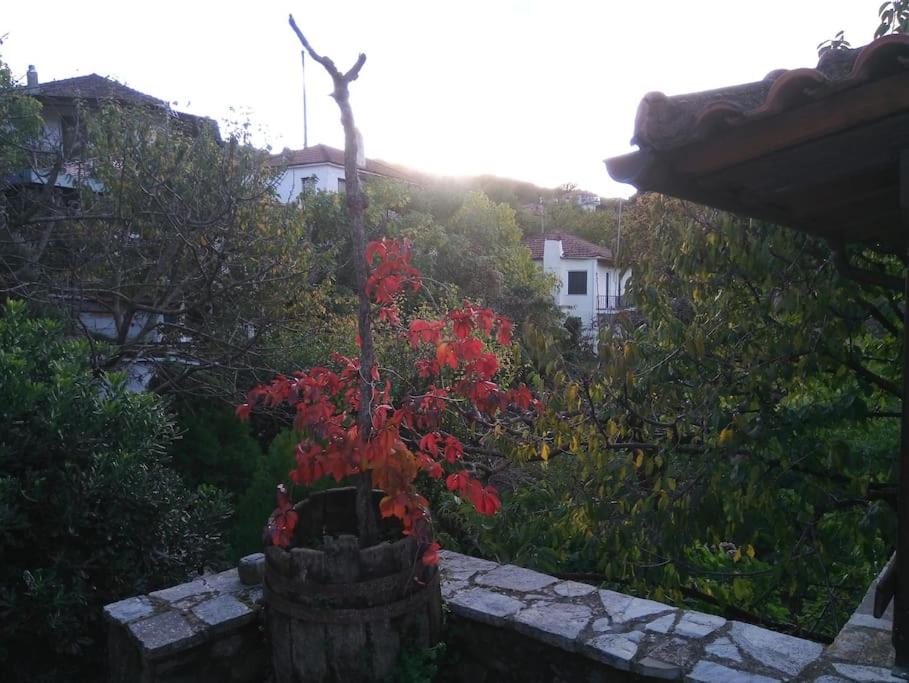 Photo 33