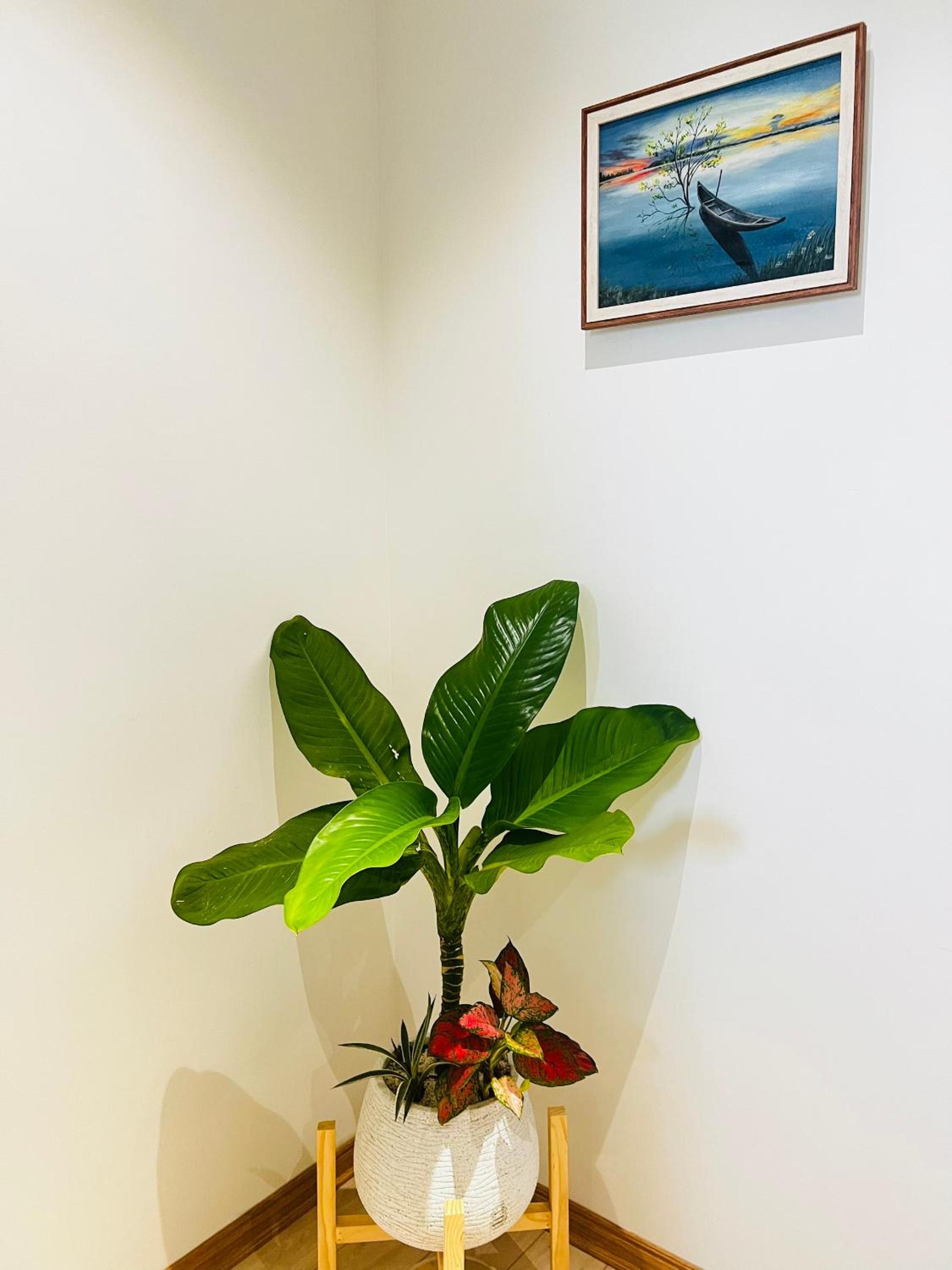 Bibi’s home, photo 15