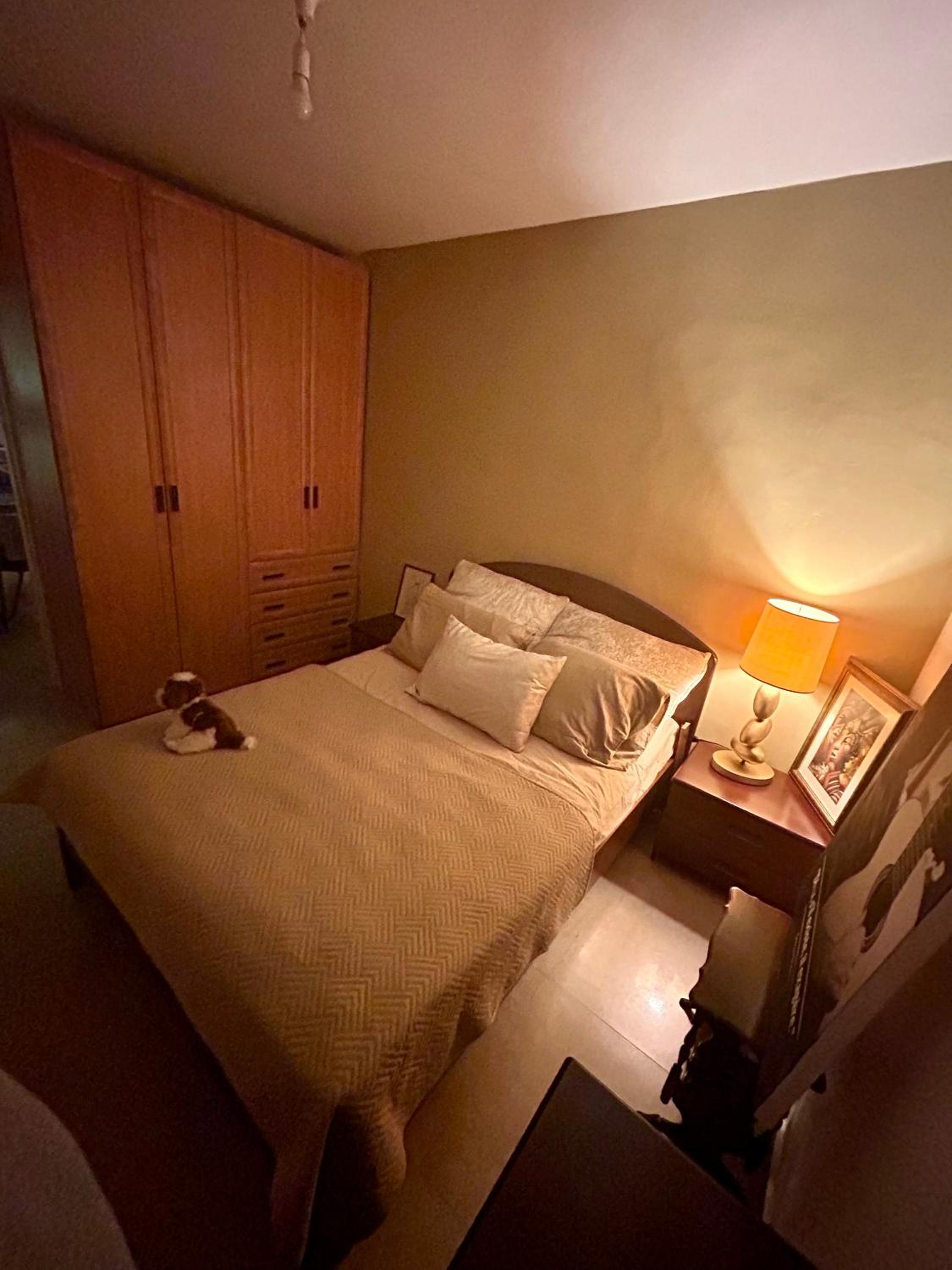 A room in a modern apartment near the Belinson Schneider hospital and the Red Line to Tel Aviv view 3