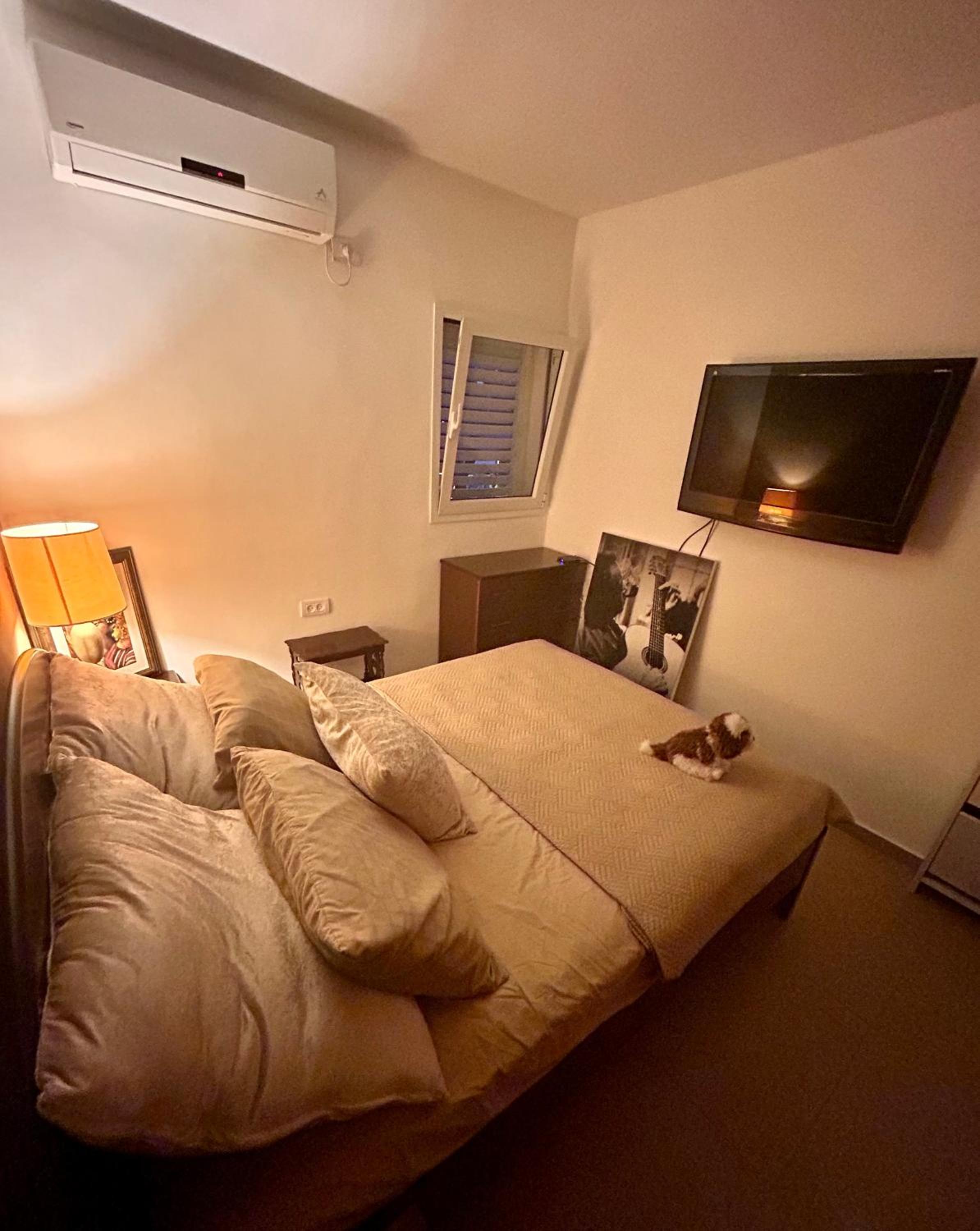A room in a modern apartment near the Belinson Schneider hospital and the Red Line to Tel Aviv view 4