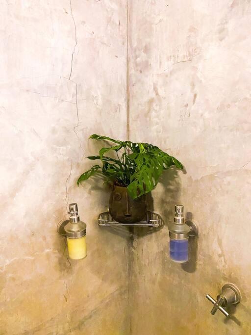Departamento Boutique en Jalatlaco Oaxaca Centro