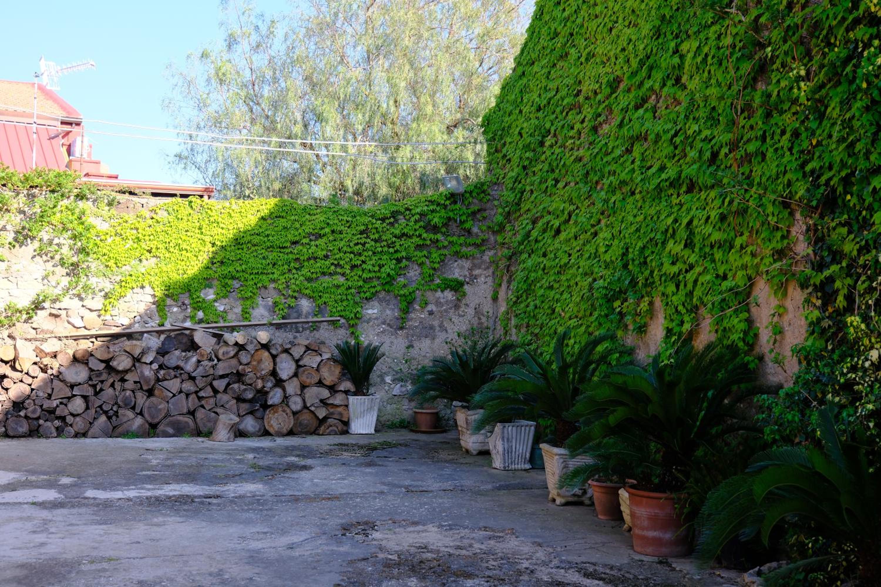 Photo 43