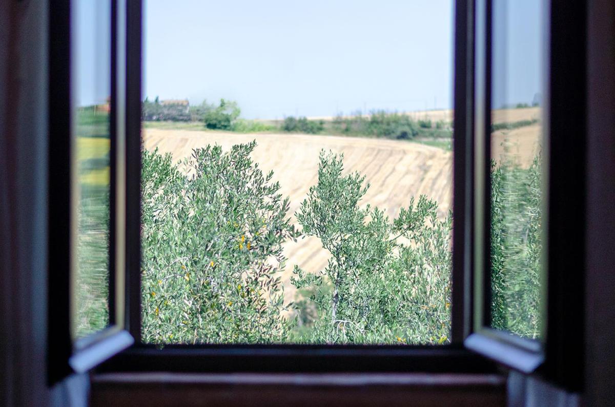 Agriturismo Tenuta Belvedere