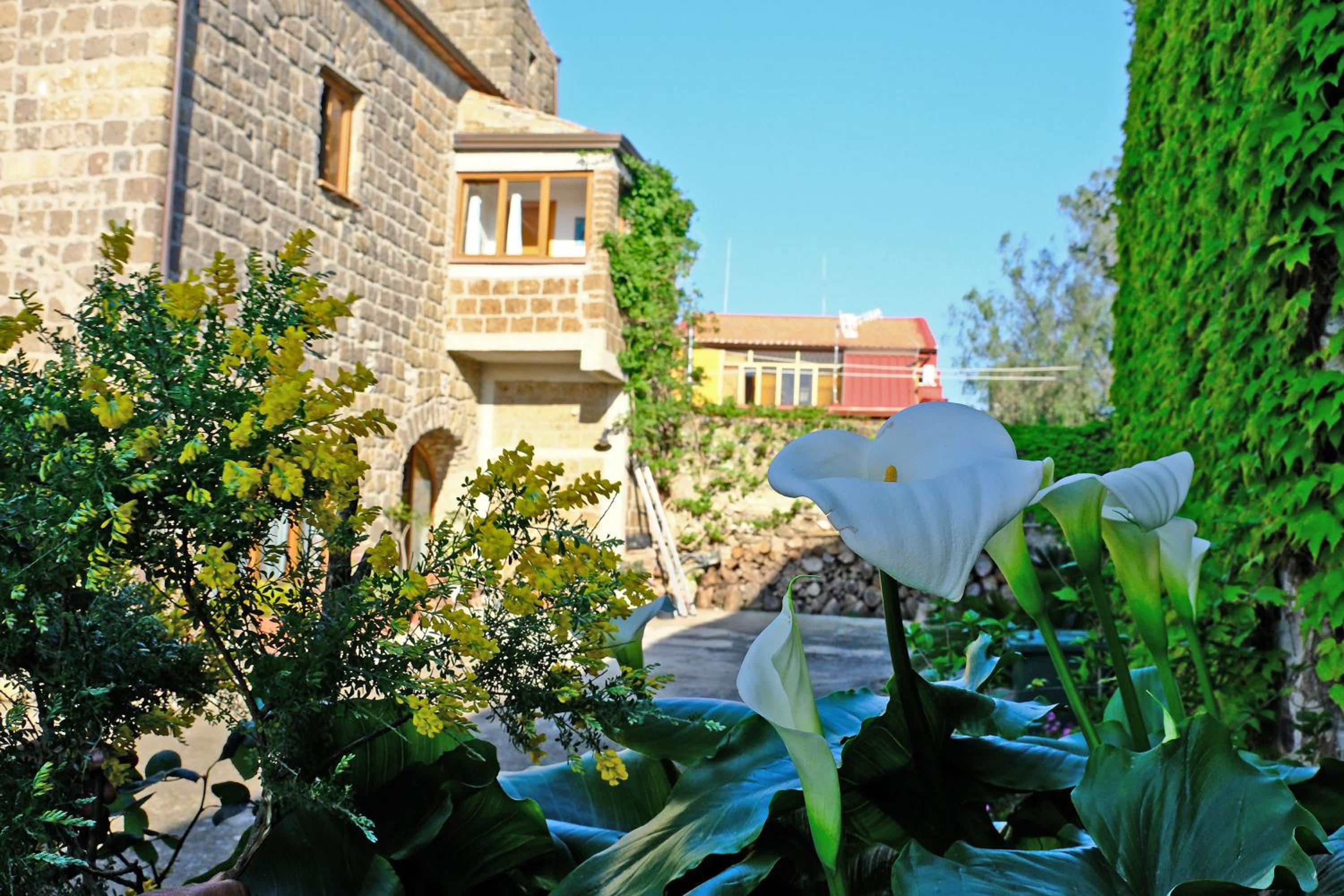 Photo 47
