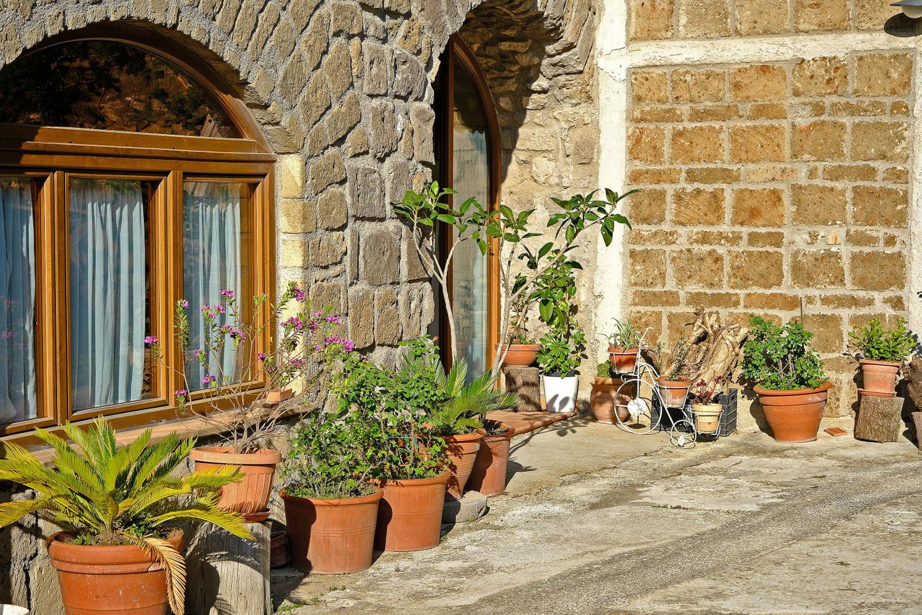 Photo 48