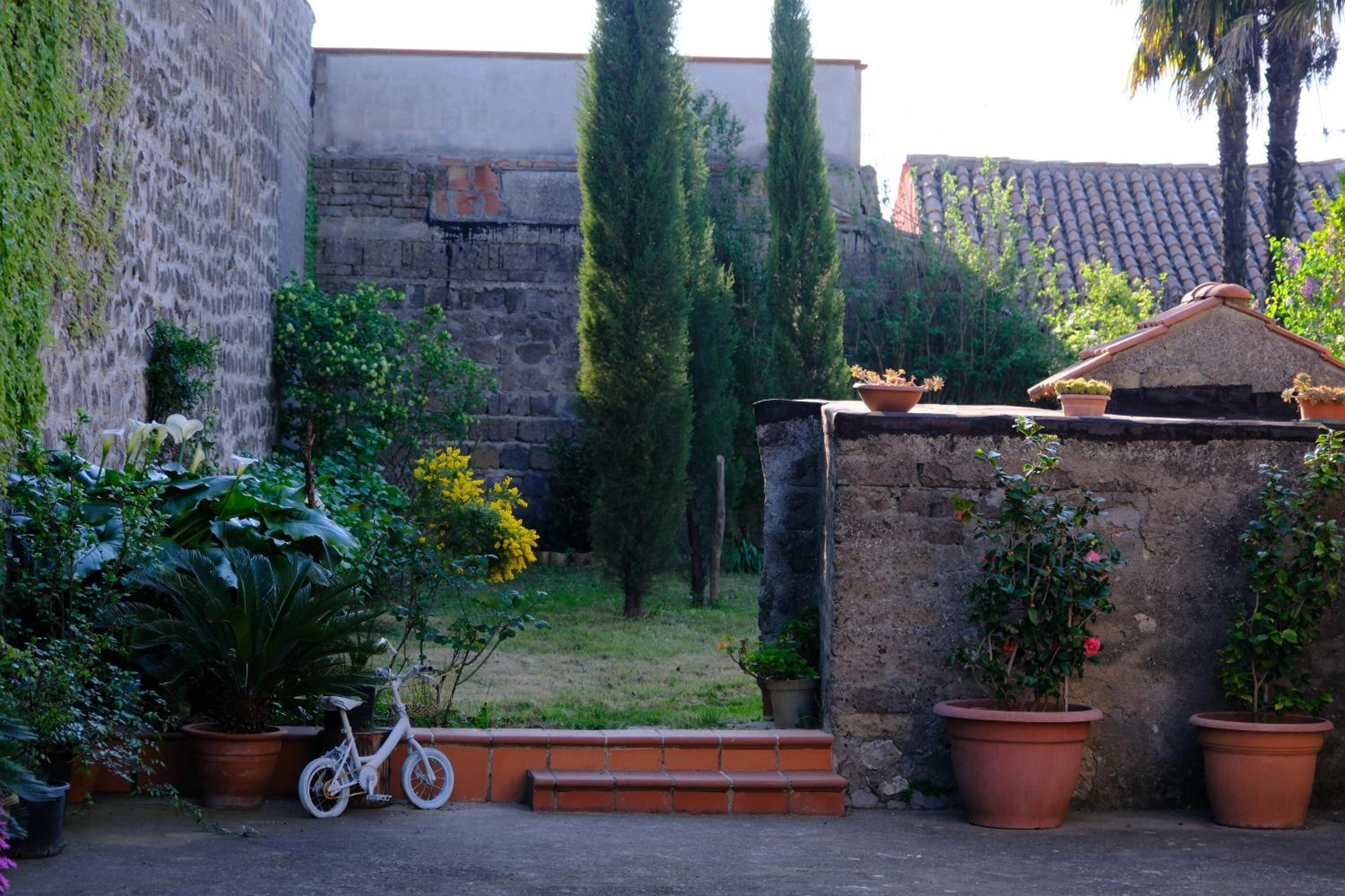 Photo 50