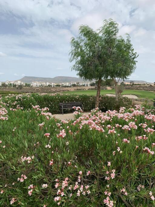 Casa-Zeelandia Haciënda Riquelme Sucina Murcia