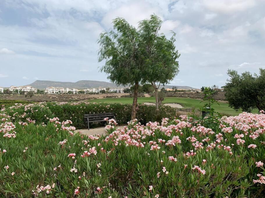 Casa-Zeelandia Haciënda Riquelme Sucina Murcia