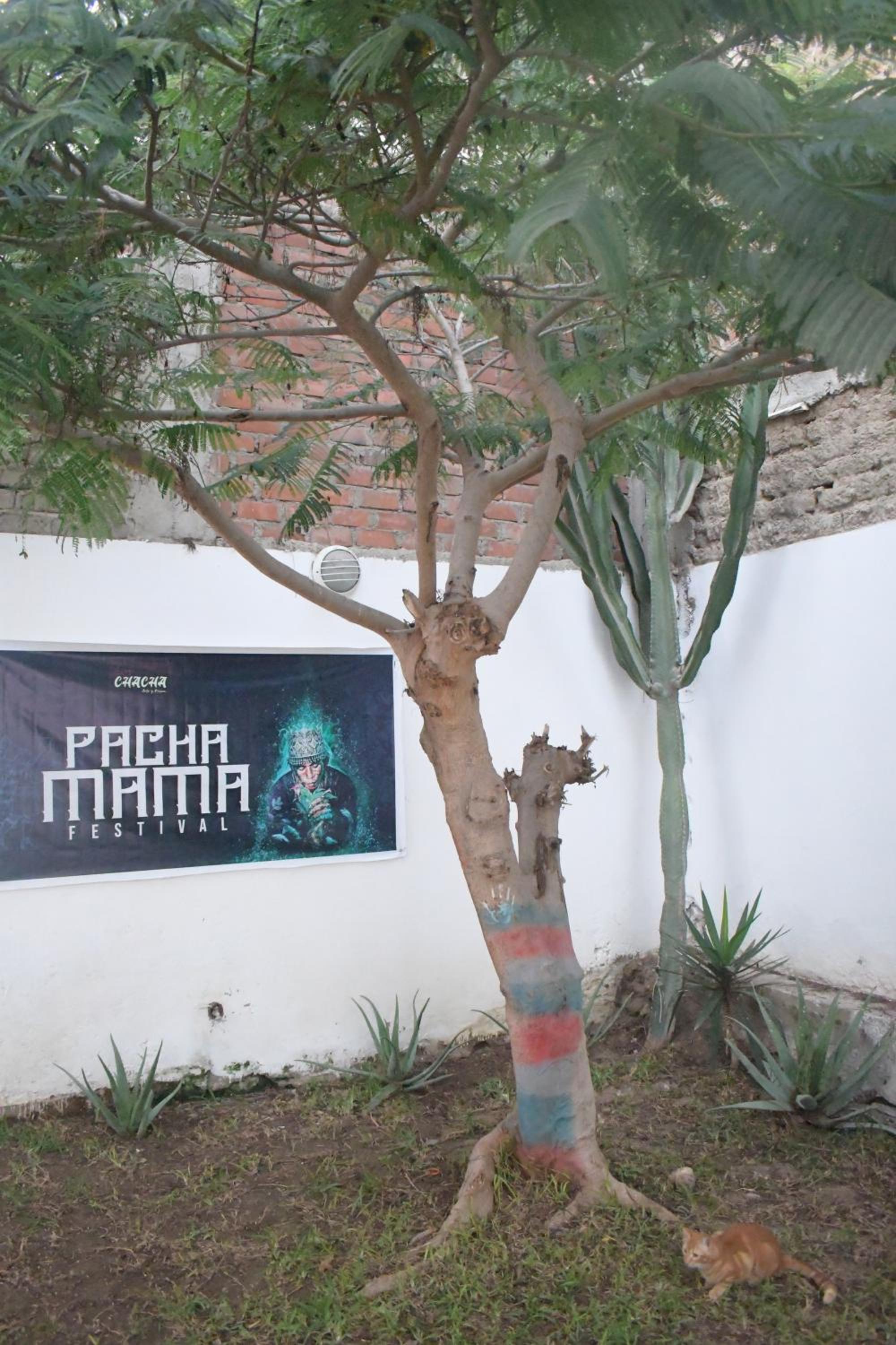 Chakana House - Hostel Huanchaco