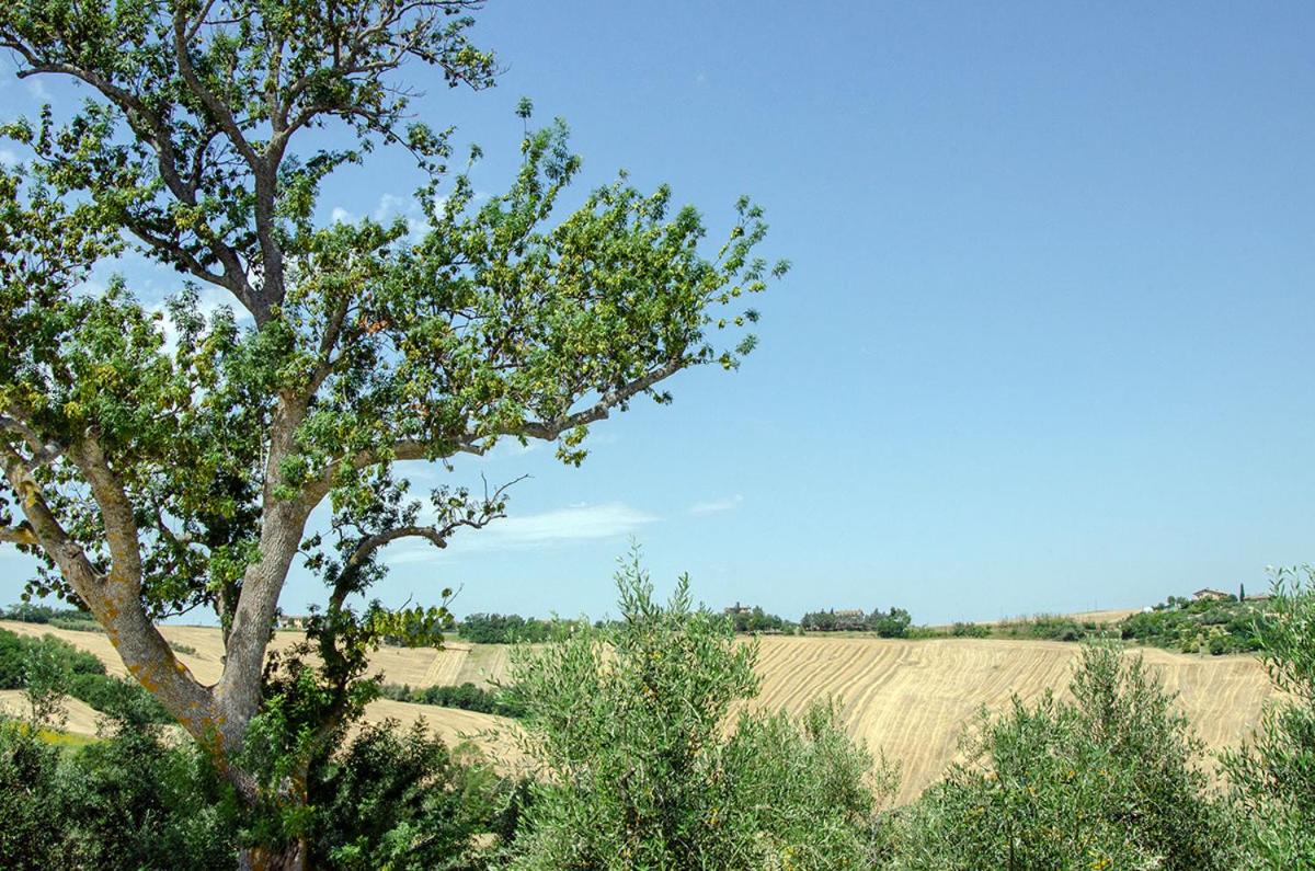 Agriturismo Tenuta Belvedere