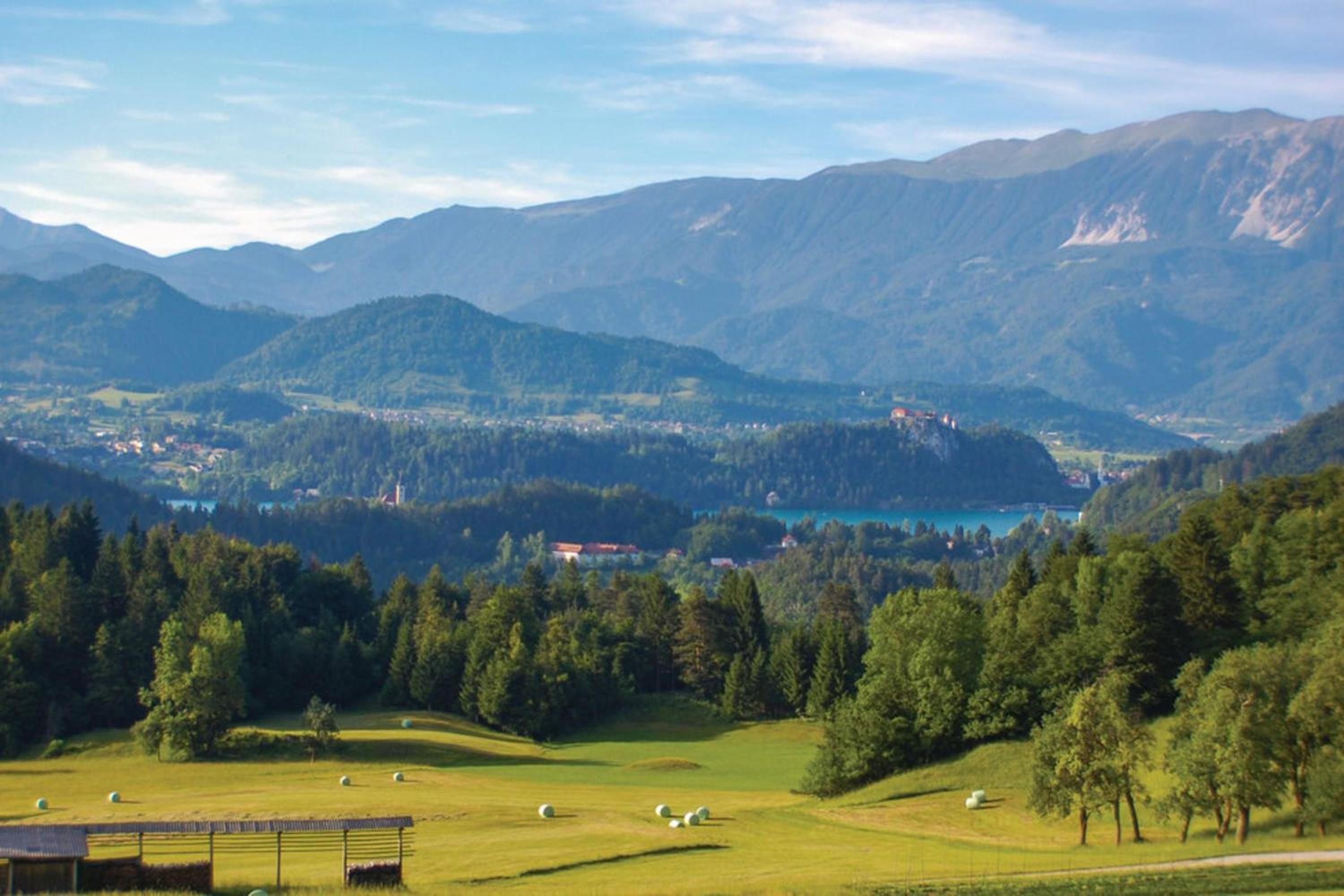 Chalet Kupljenik Near Bled Lake - Happy Rentals view 4
