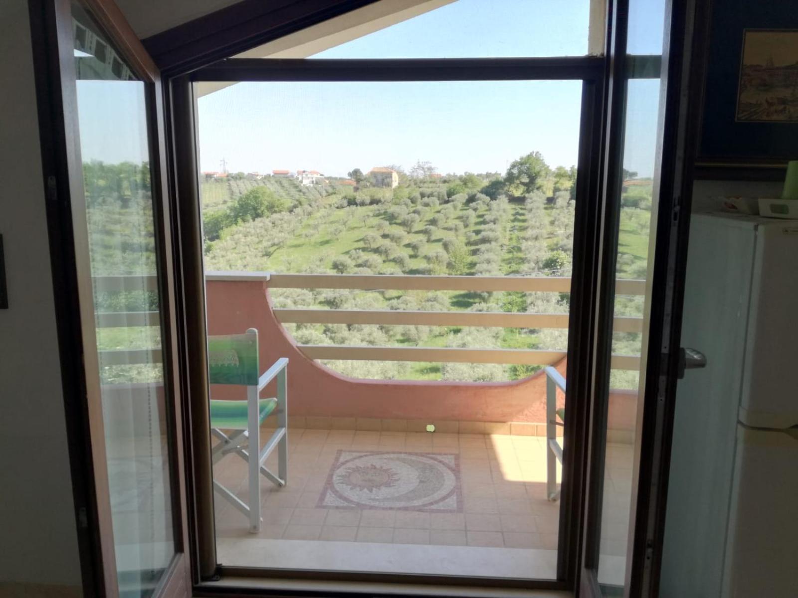 domus rosada view 2