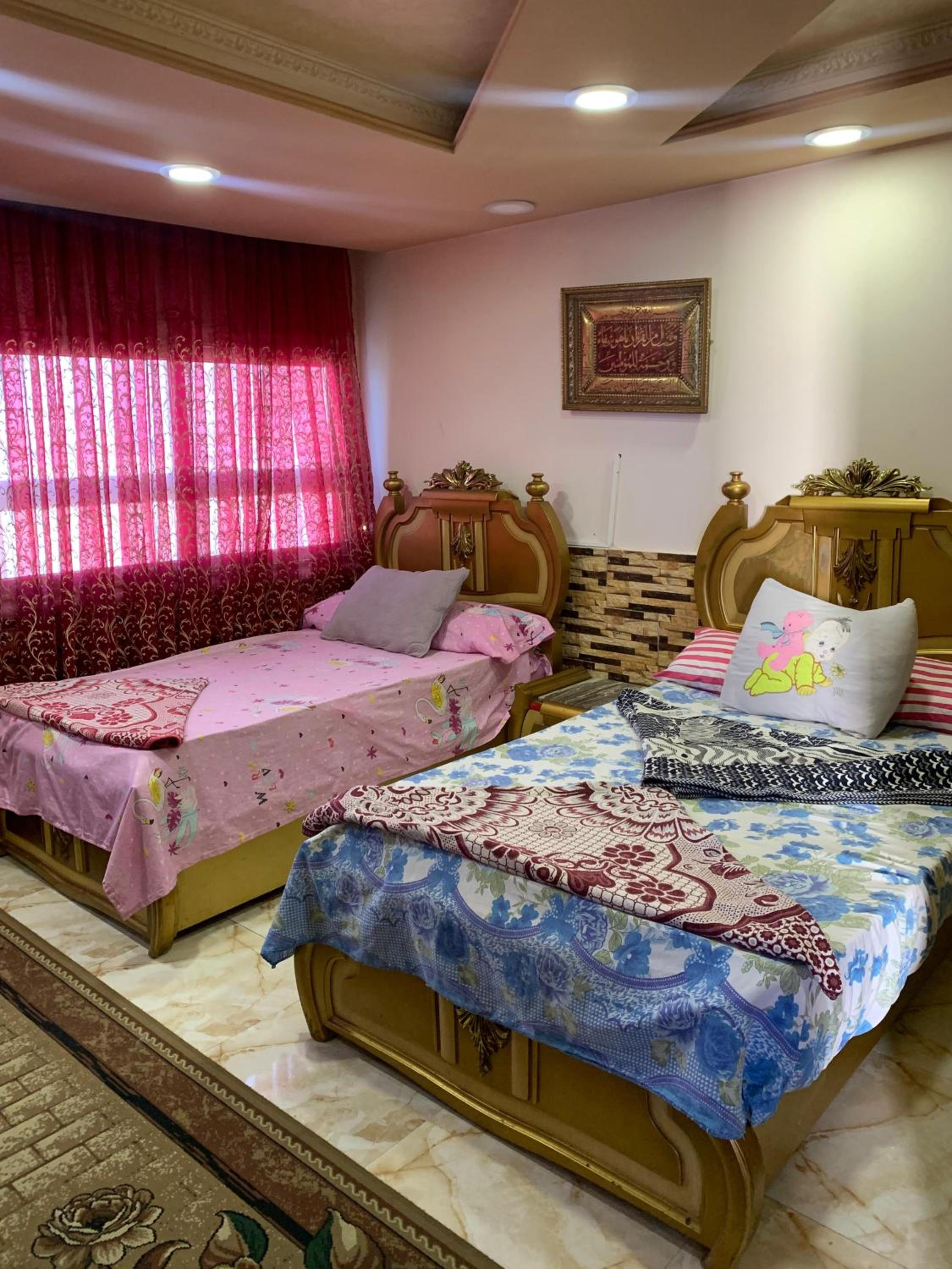 A luxury apartment in Alexandria