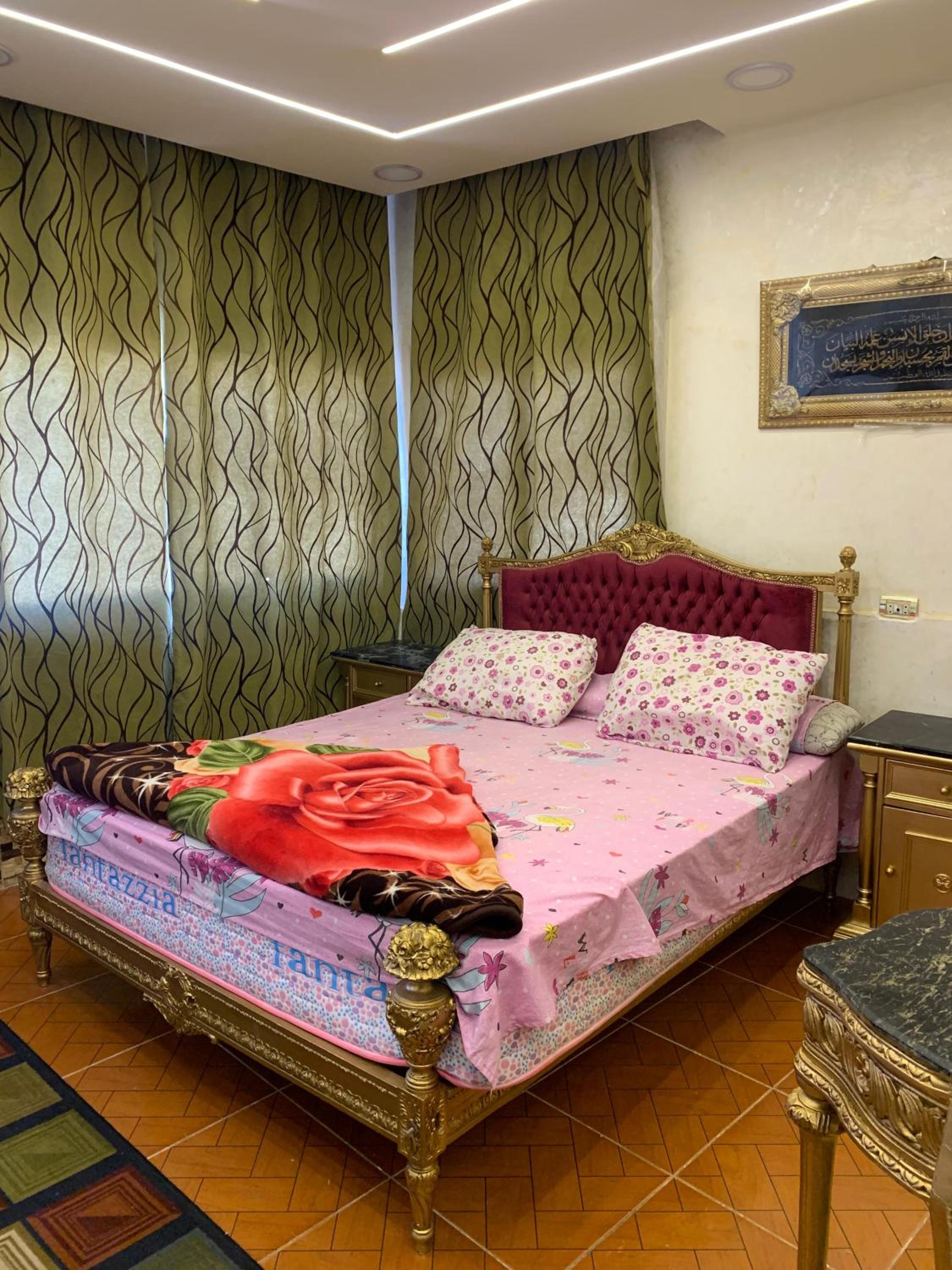 A luxury apartment in Alexandria