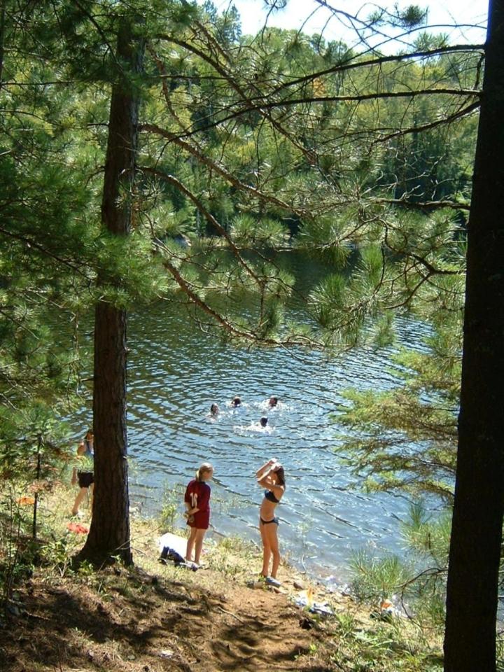 Deer Meadow #1