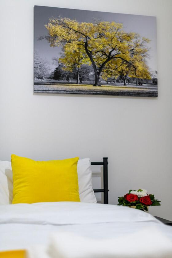 Spectacular 3 Bed in Blackheath
