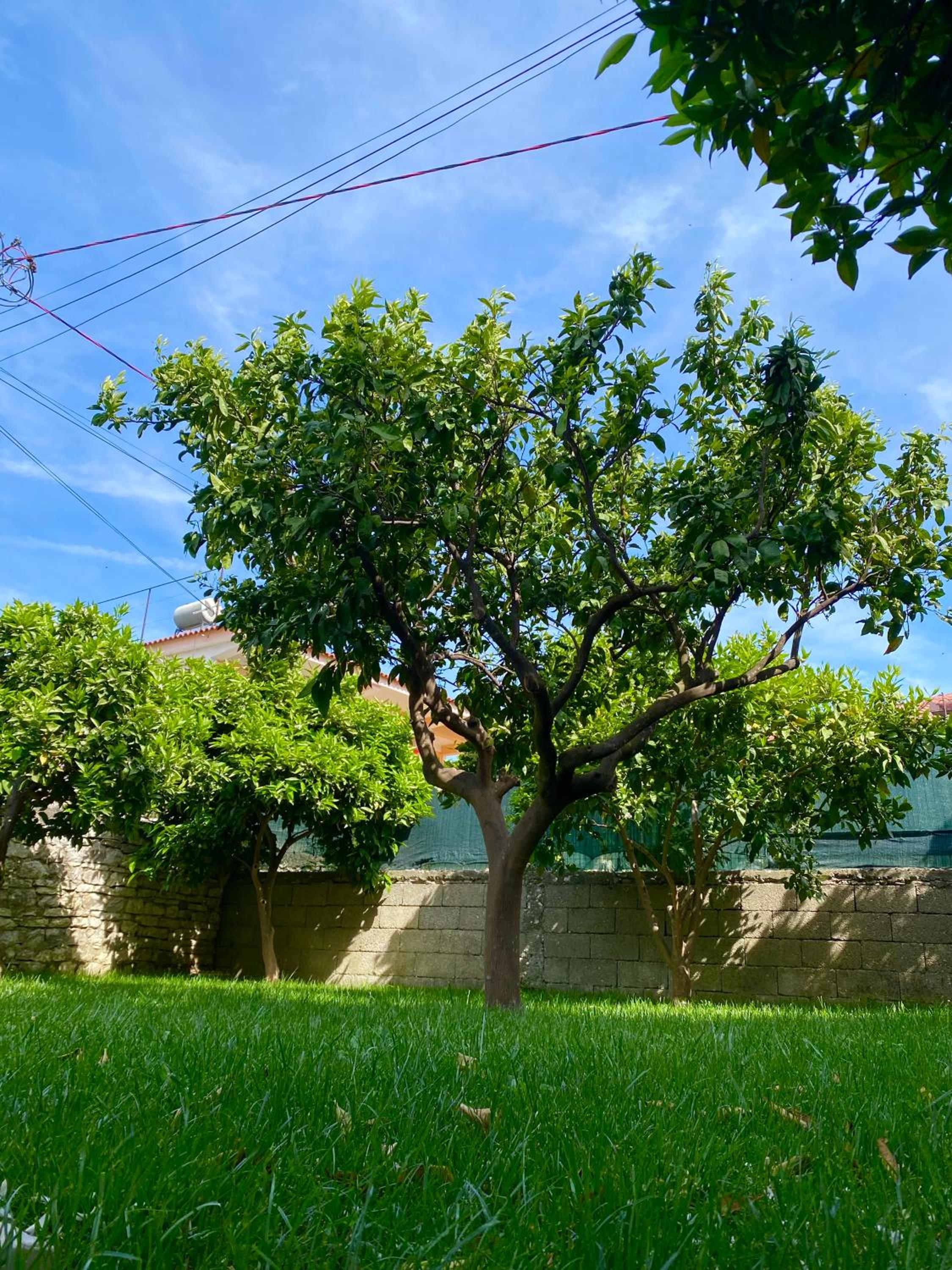 Villa Berat - View of Berat Castle & Traditional Breakfast