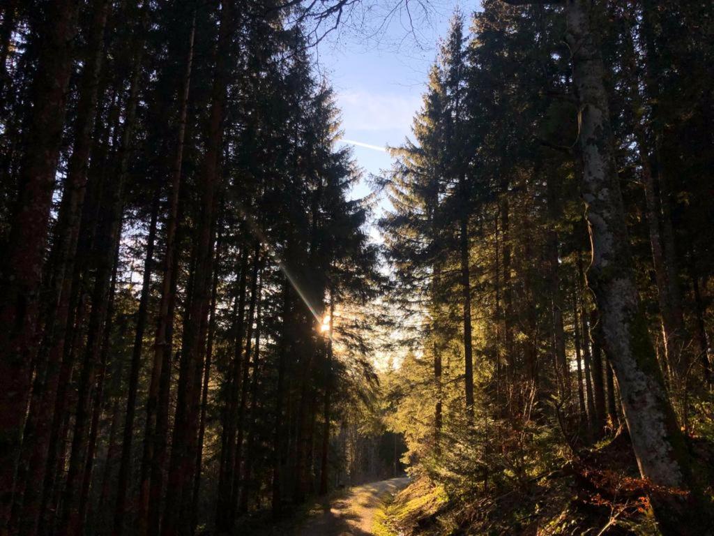 Ferienwohnung Waldblick