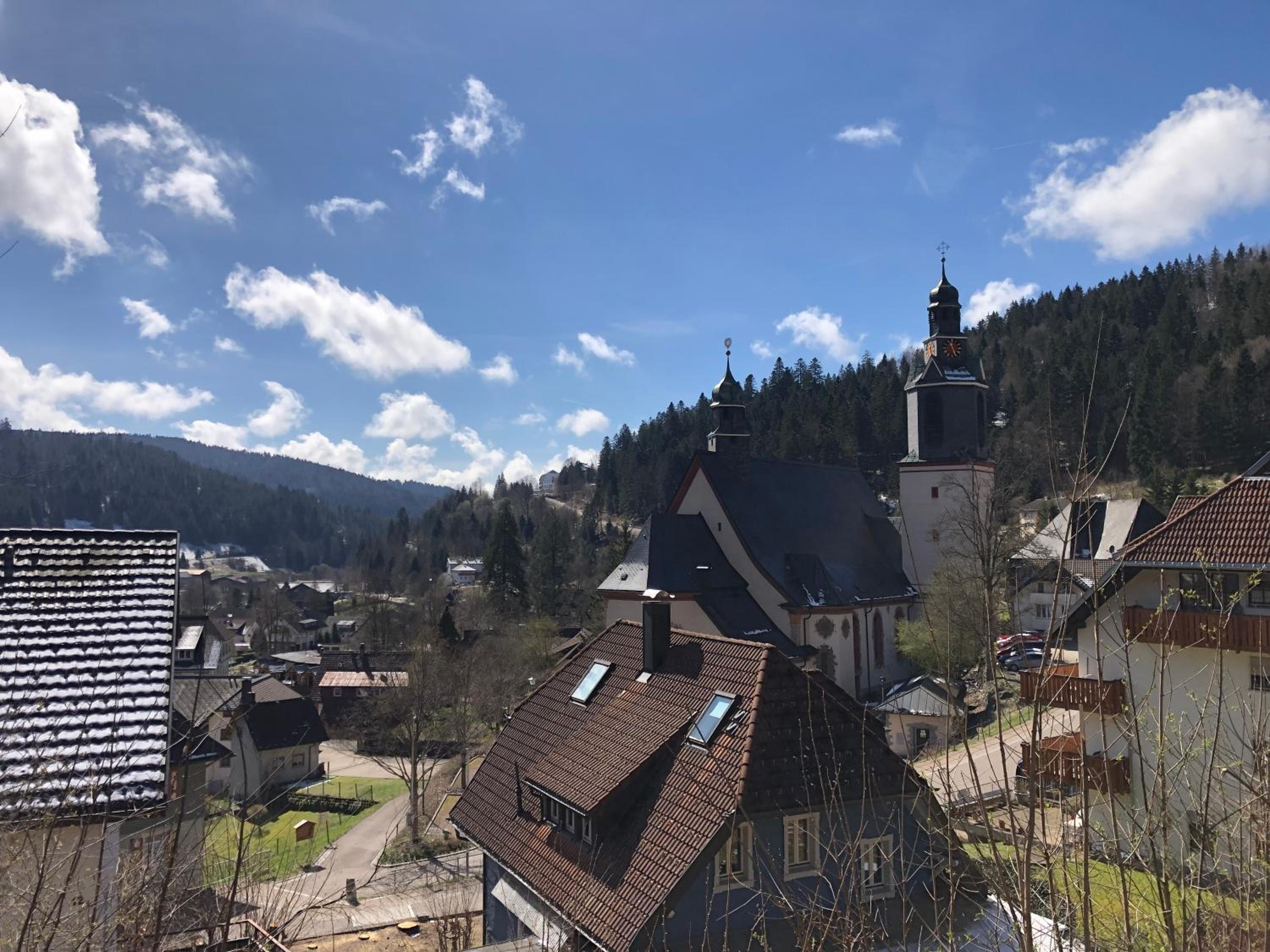 Ferienwohnung Waldblick