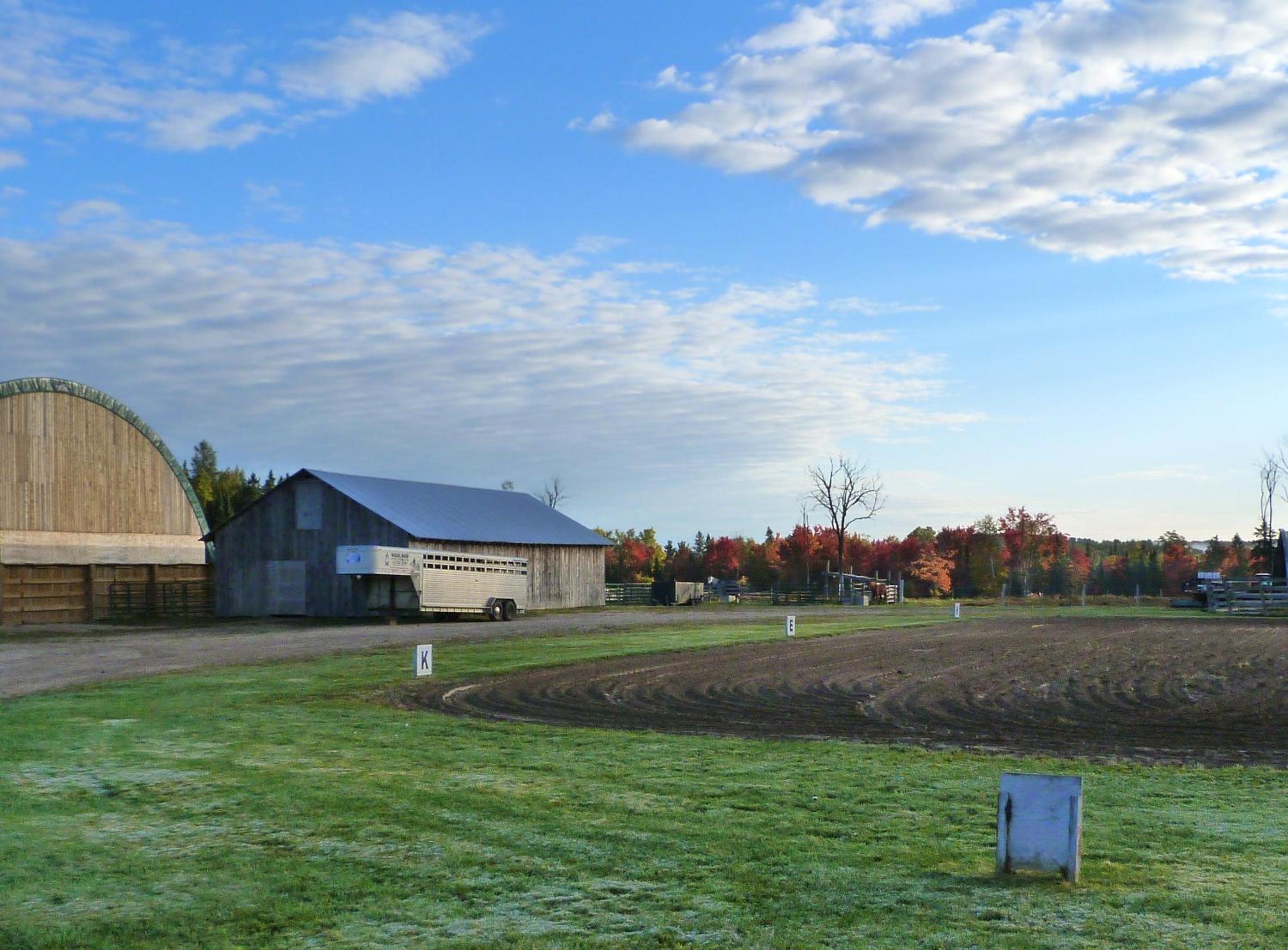 Meadowlark Cabin #5