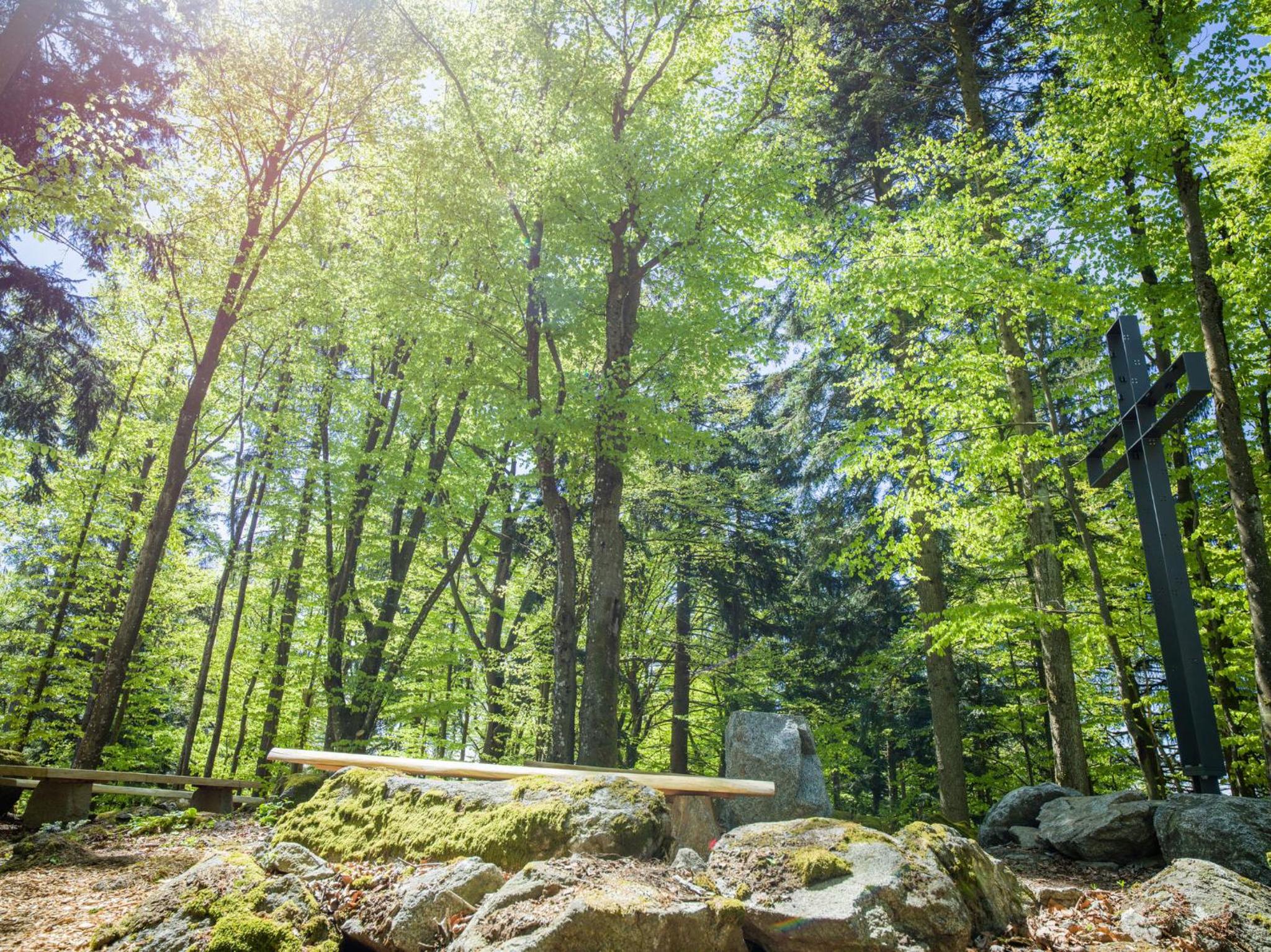 Ferienpark Geyersberg inklusive aktivCARD Bayerischer Wald