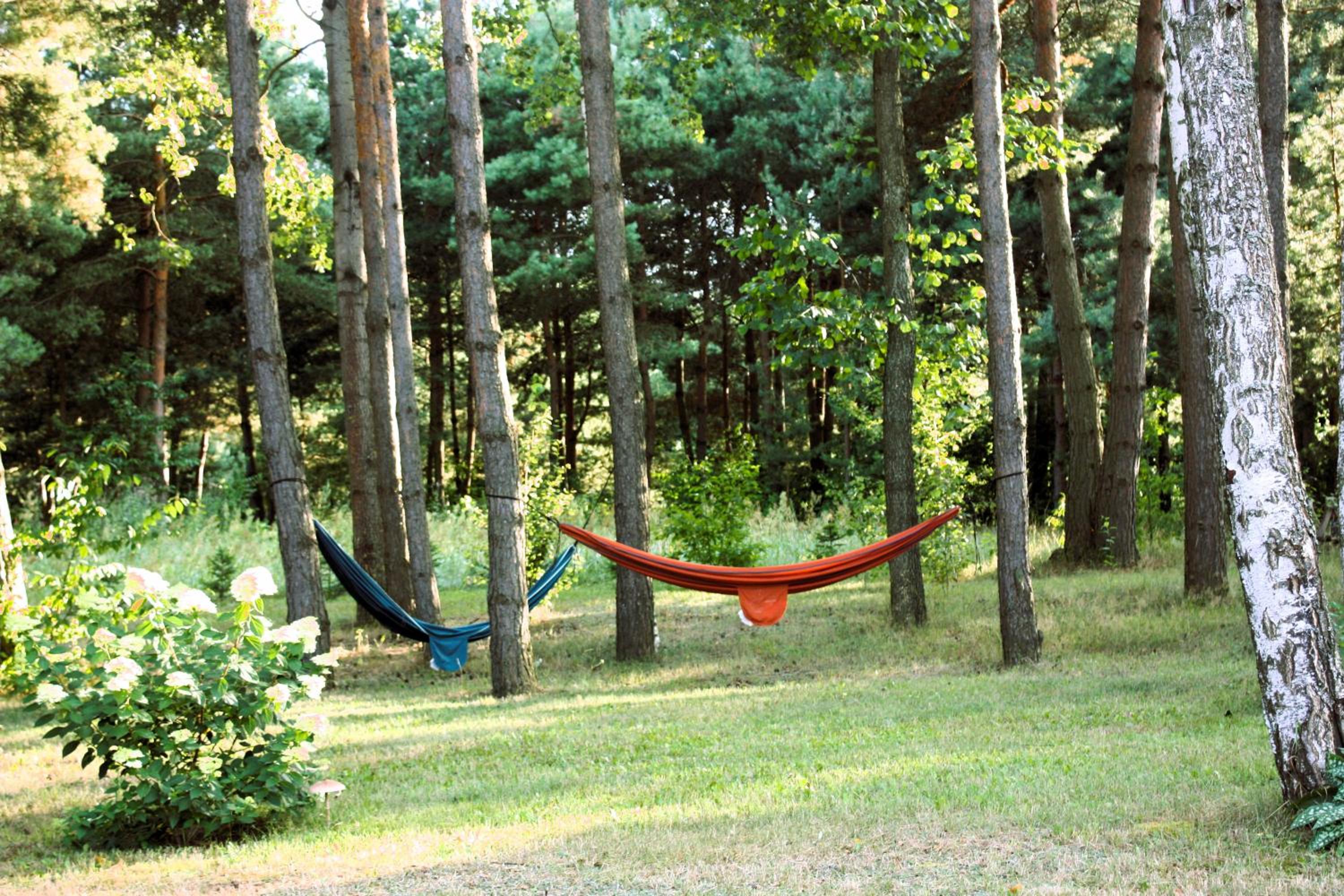 Panorama Podlasie Home&SPA